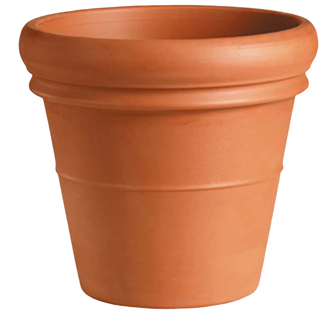 Classic Italian Rolled Rim Terracotta Pot