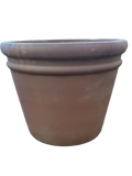 Mocha Rolled Rim Clay Pot