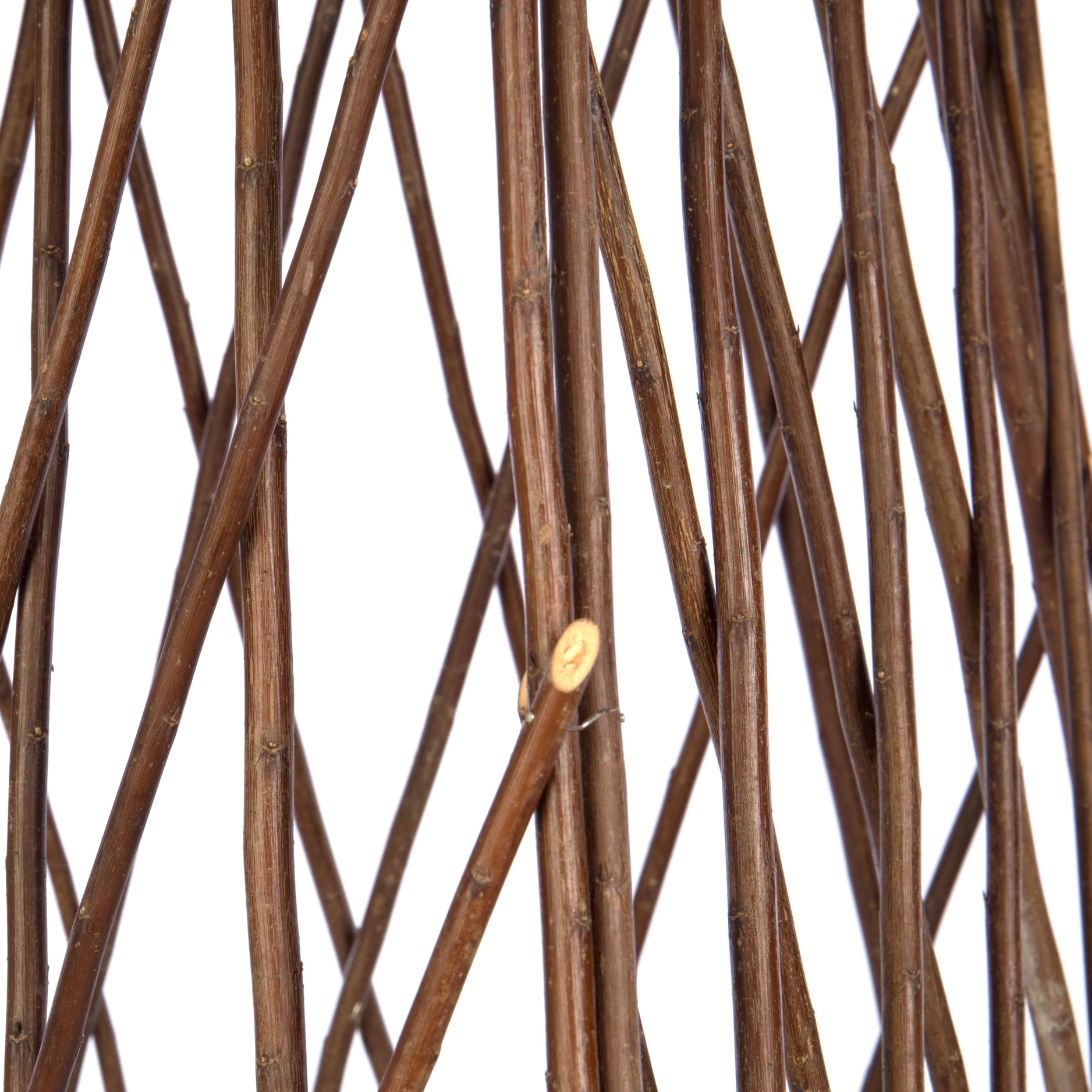 Acacia Expanding Trellis