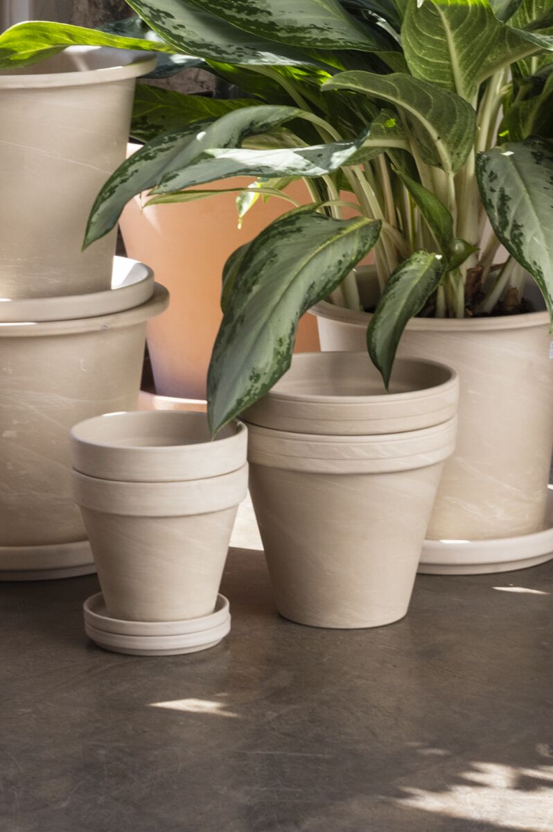 Apollo Pottery in Dark Clay