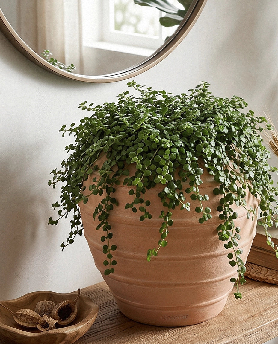 Barrel Terracotta Planter
