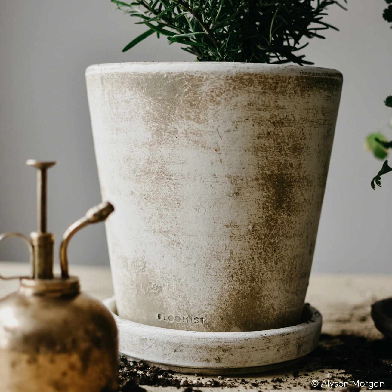 White Patina Basic Planter