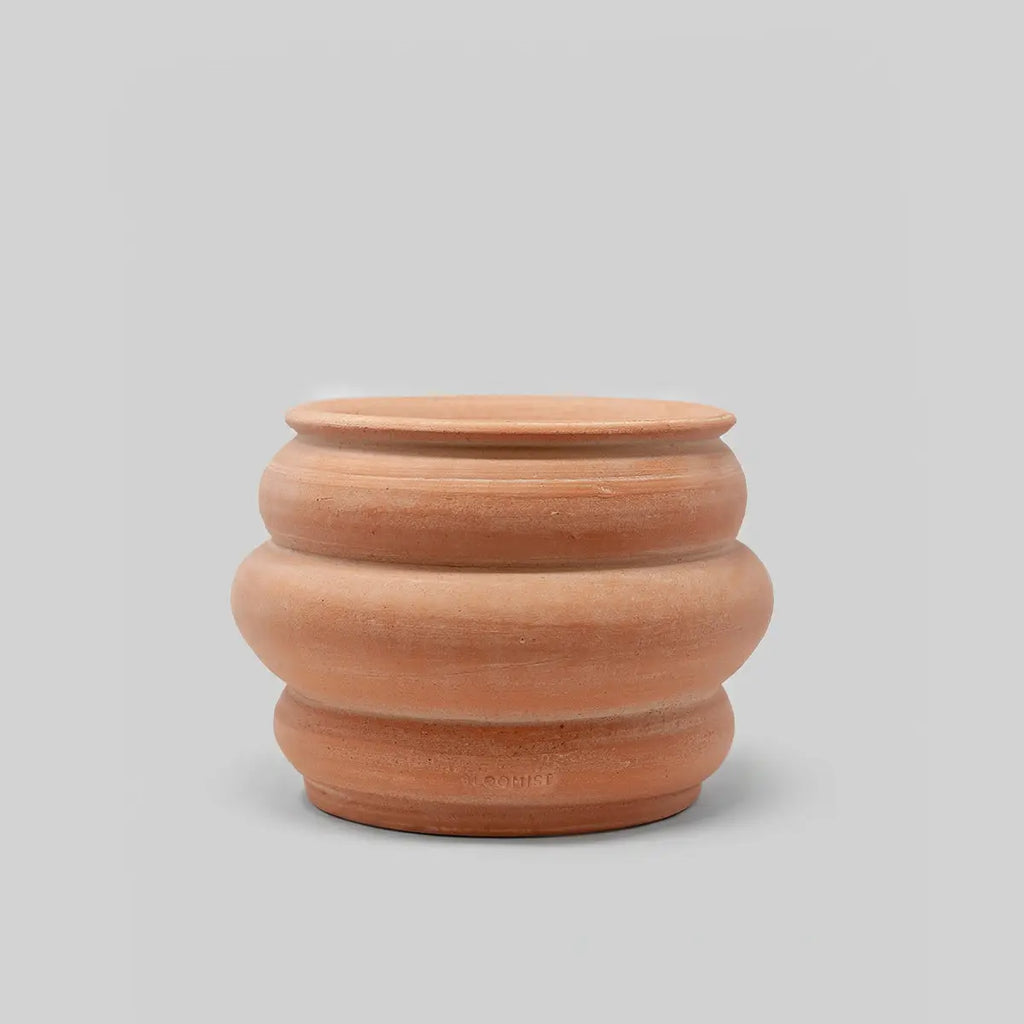 Whitewash Basin Terracotta Pot