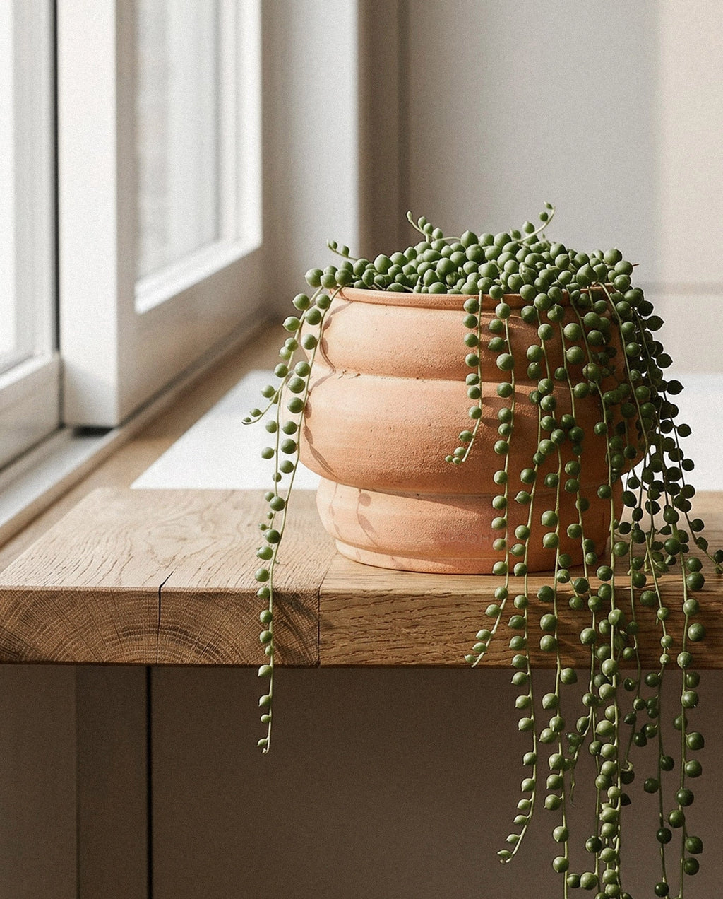 Whitewash Basin Terracotta Pot