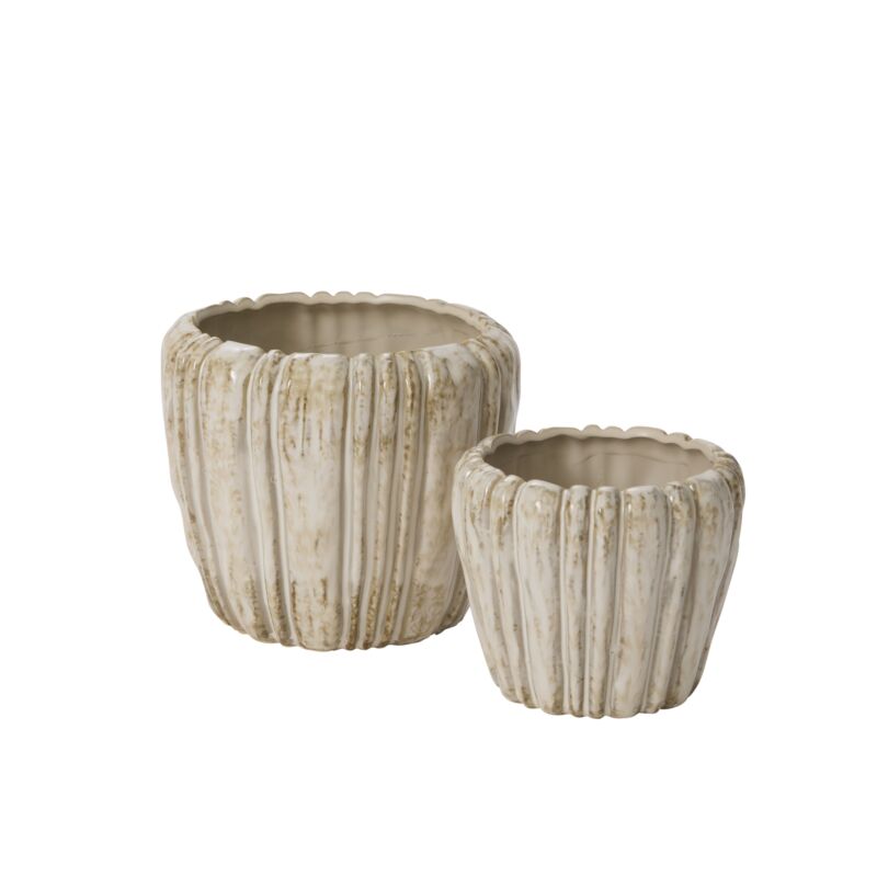 Cedric Pot