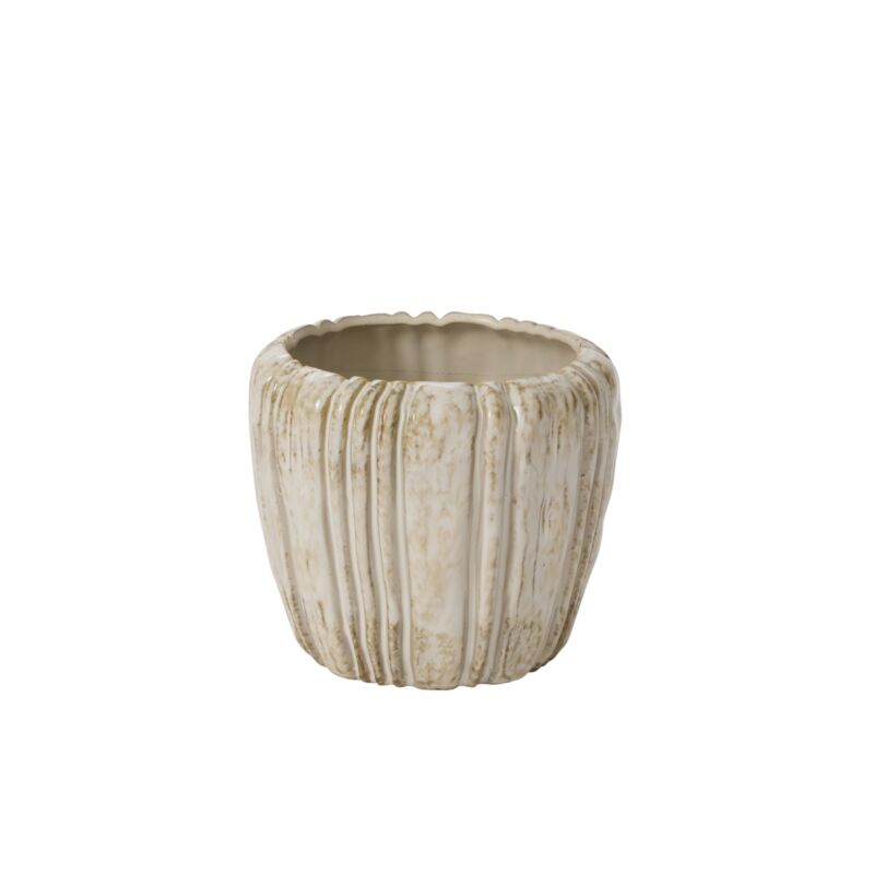 Cedric Pot