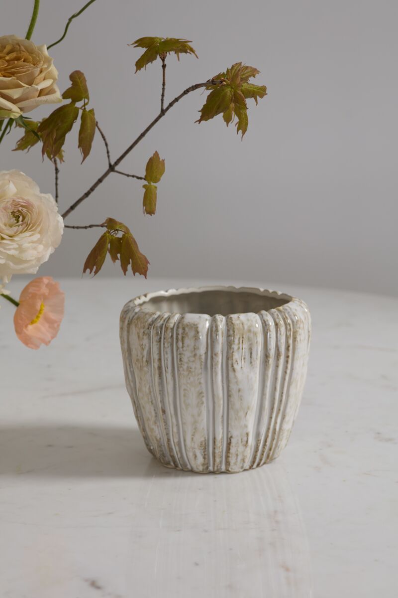 Cedric Pot