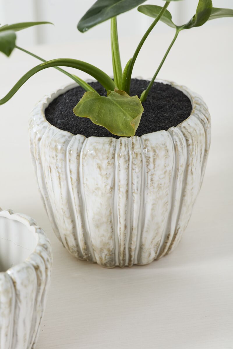 Cedric Pot