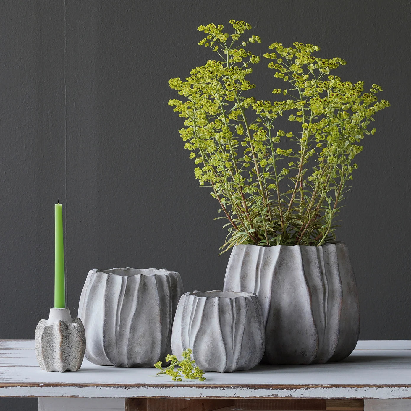 Concrete Lucid Planter Wide (Small)