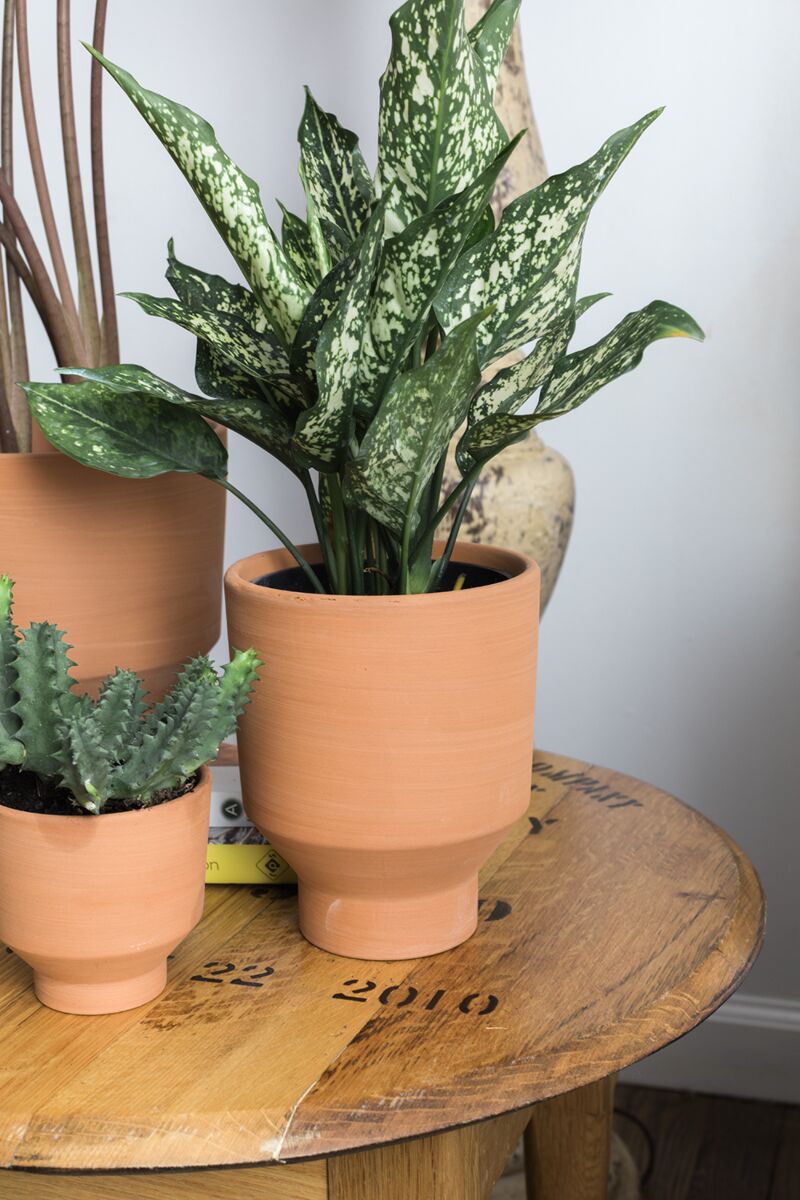 Crescendo Clay Pot