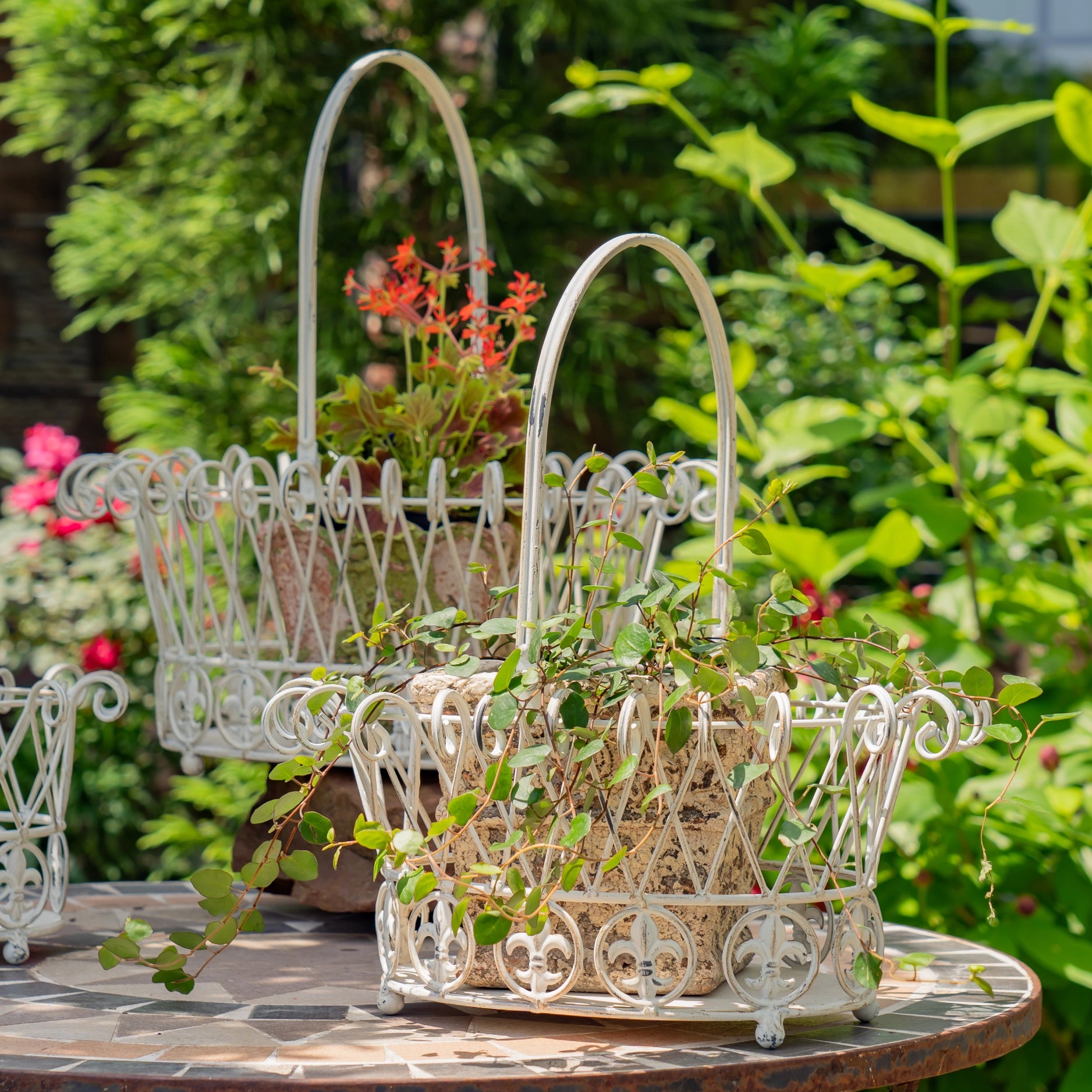 Decorative Garden Metal Wire Baskets in White