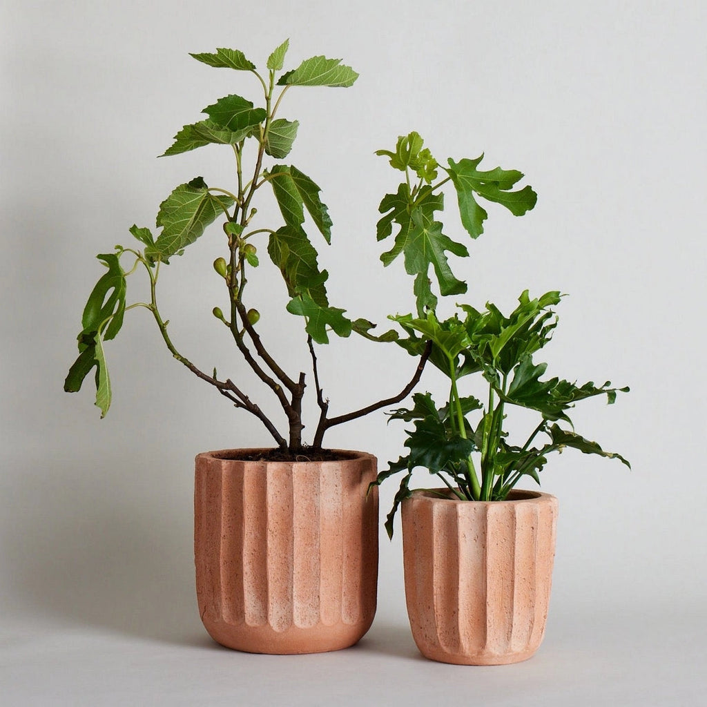 Fluted Terracotta Planter