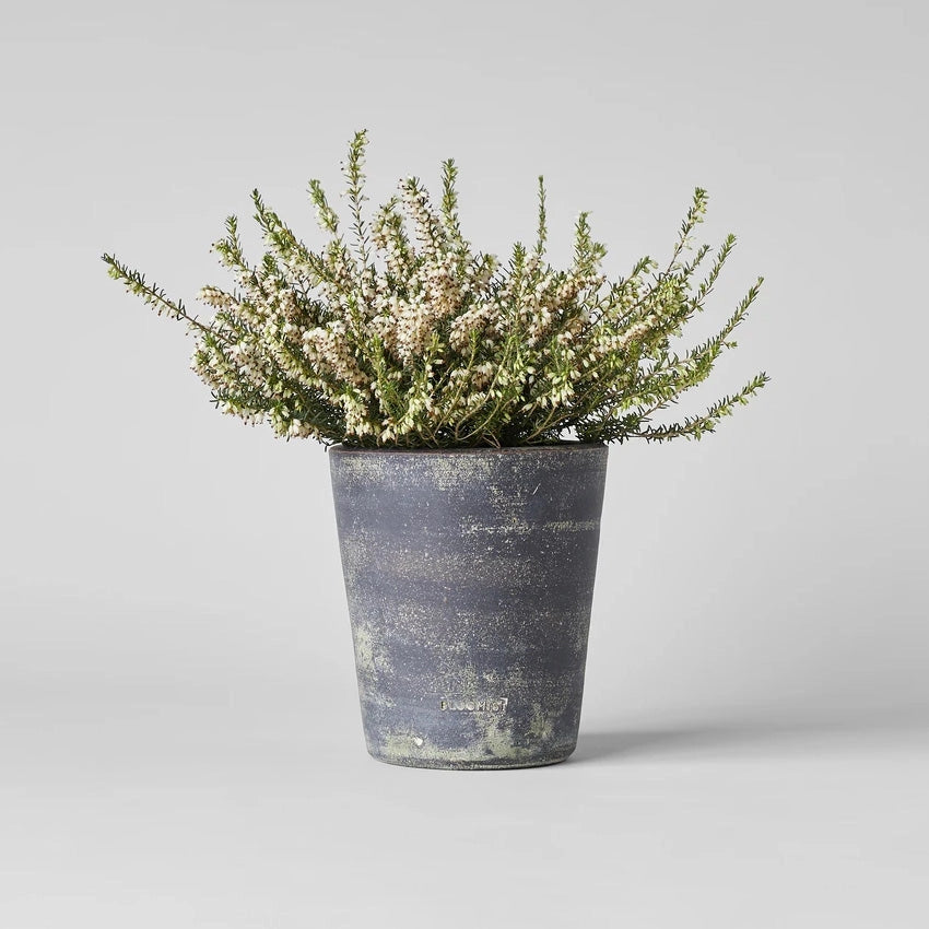 Gray Patina Hand-Thrown Terra Cotta Basic Planter