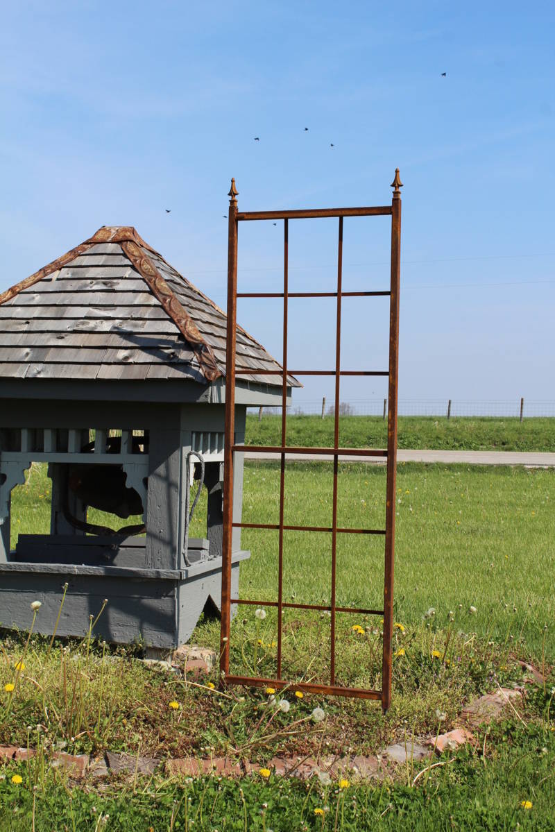 Heavy Iron Mission Trellis with Finials