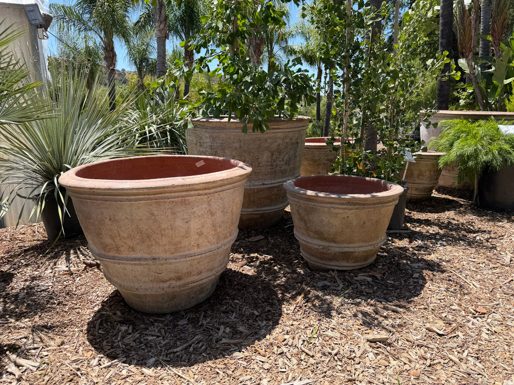 Rustic Classic Rolled Rim Planters