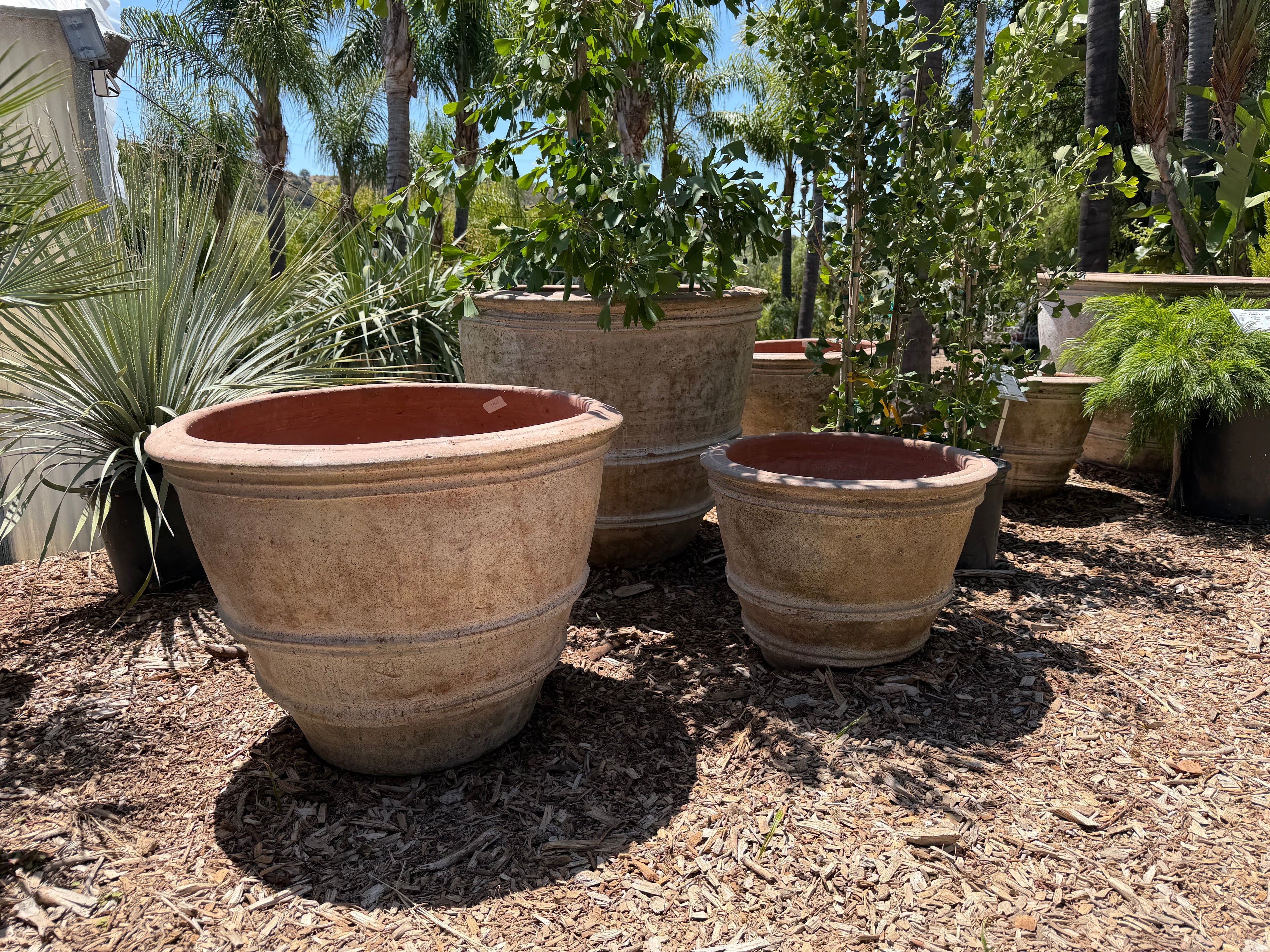 Rustic Classic Rolled Rim Planters