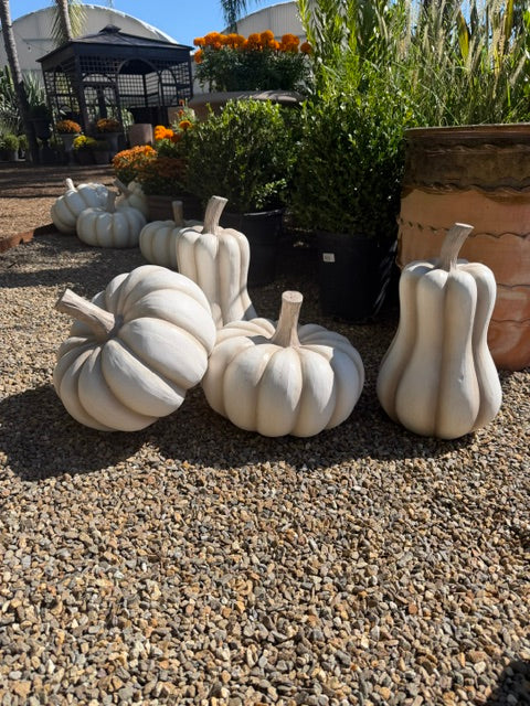 Cream-Colored Decorative Squatty Pumpkin