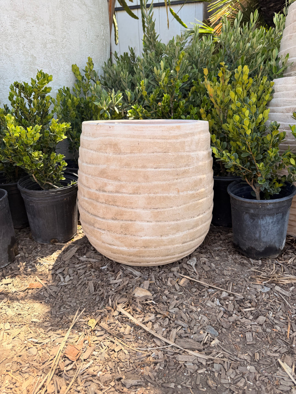 Clay Ring Pots