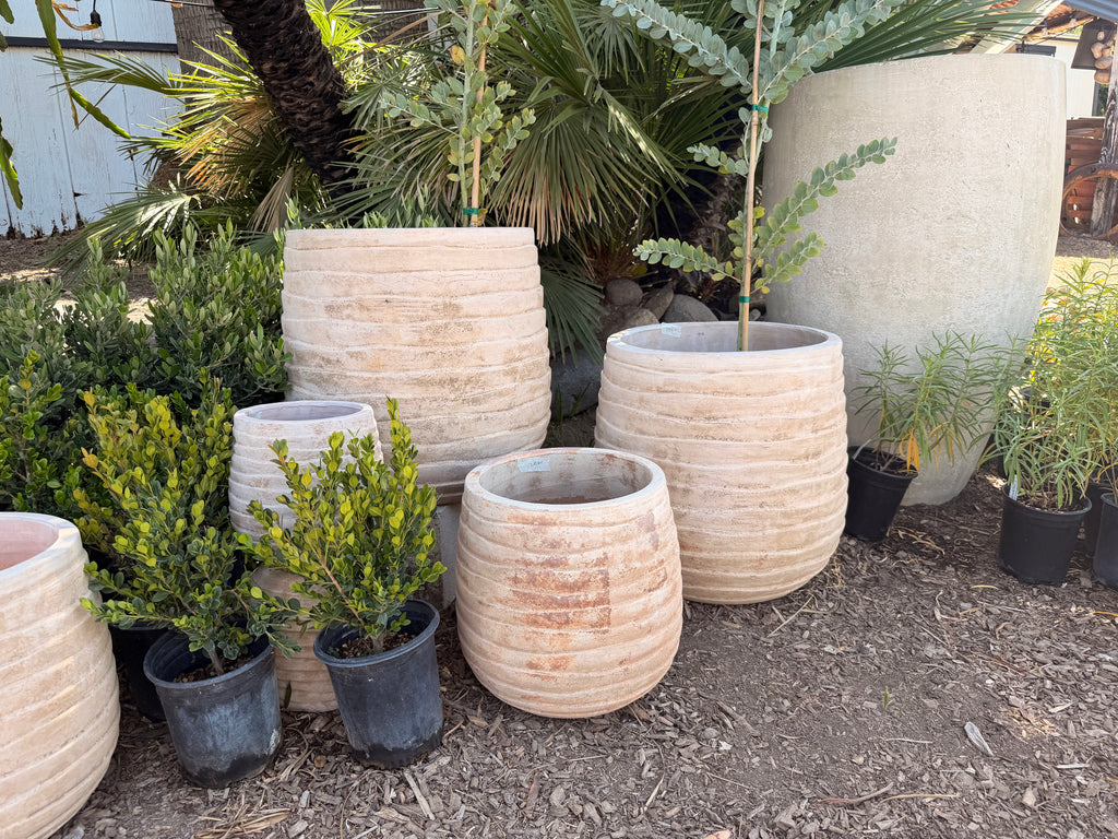Clay Ring Pots