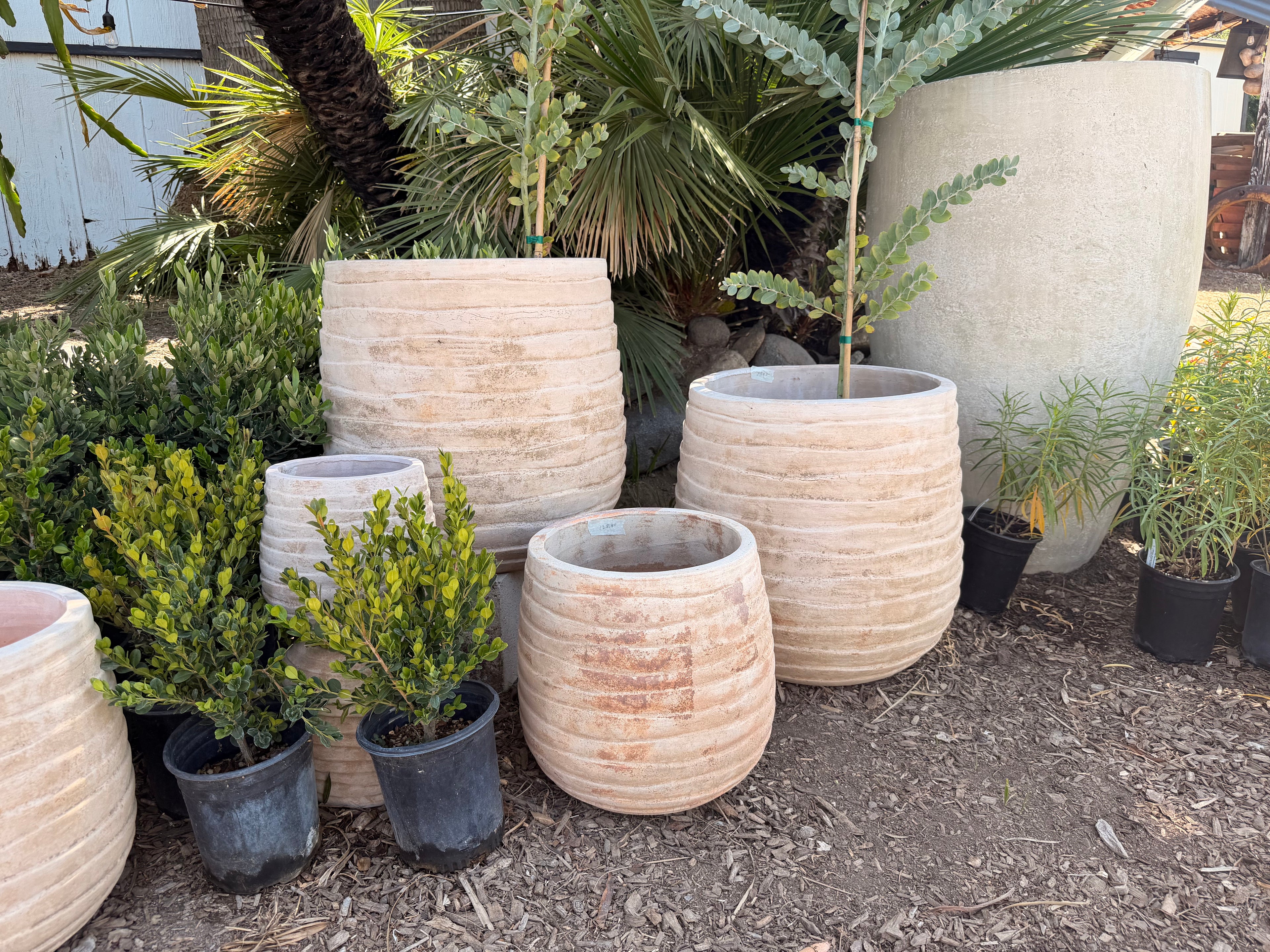 Clay Ring Pots