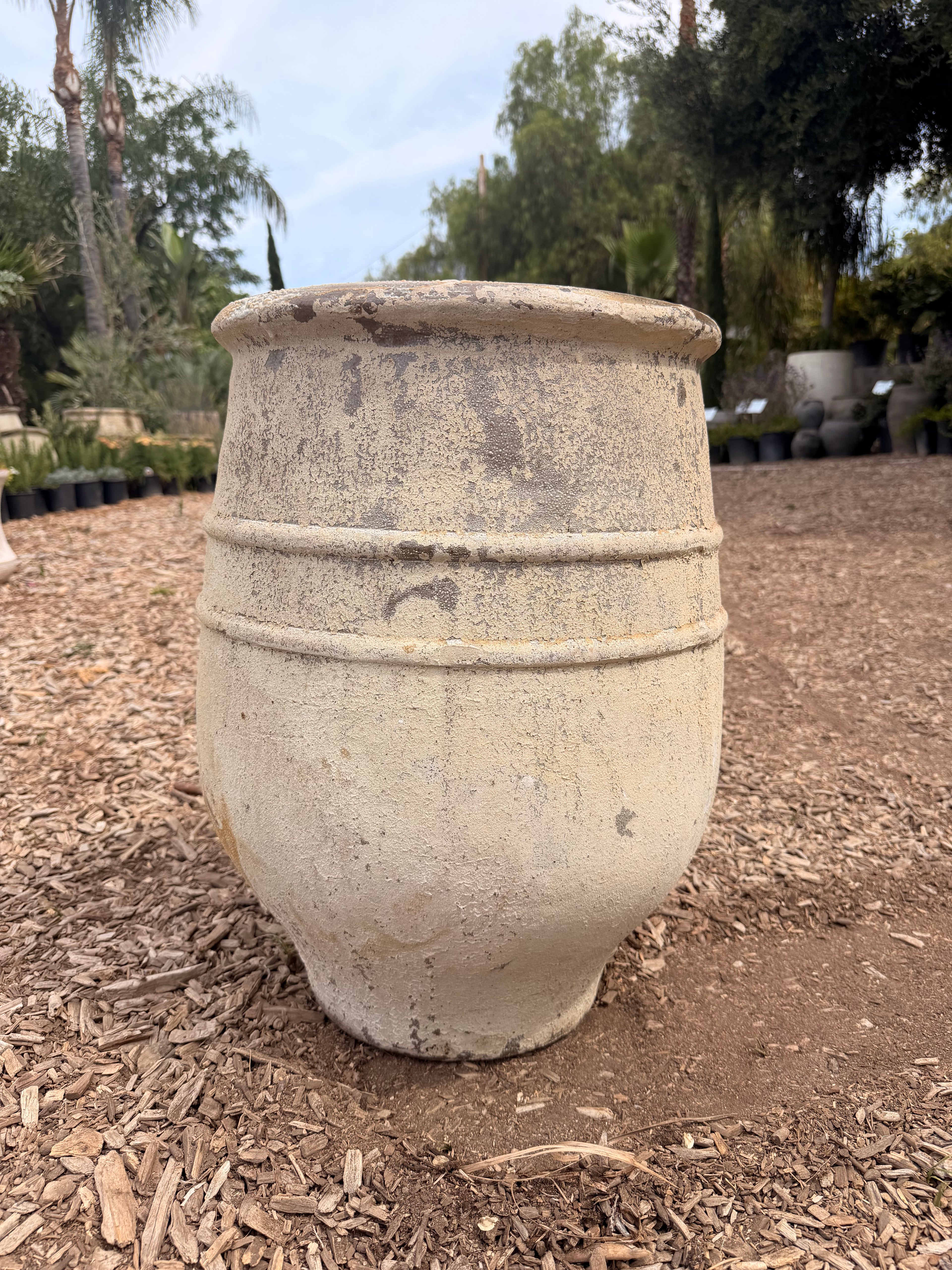 Mediterranean Olive Pot
