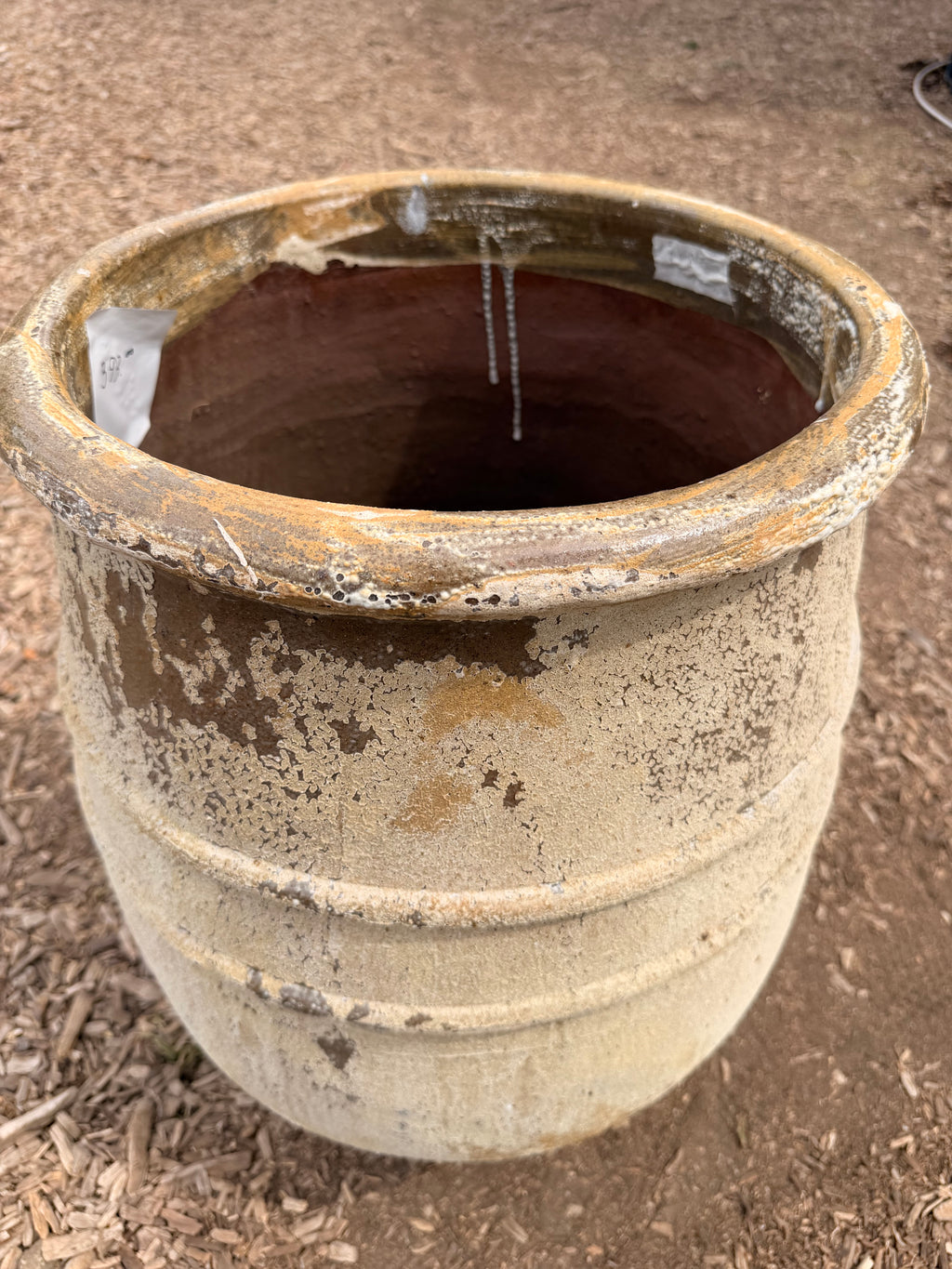 Mediterranean Olive Pot