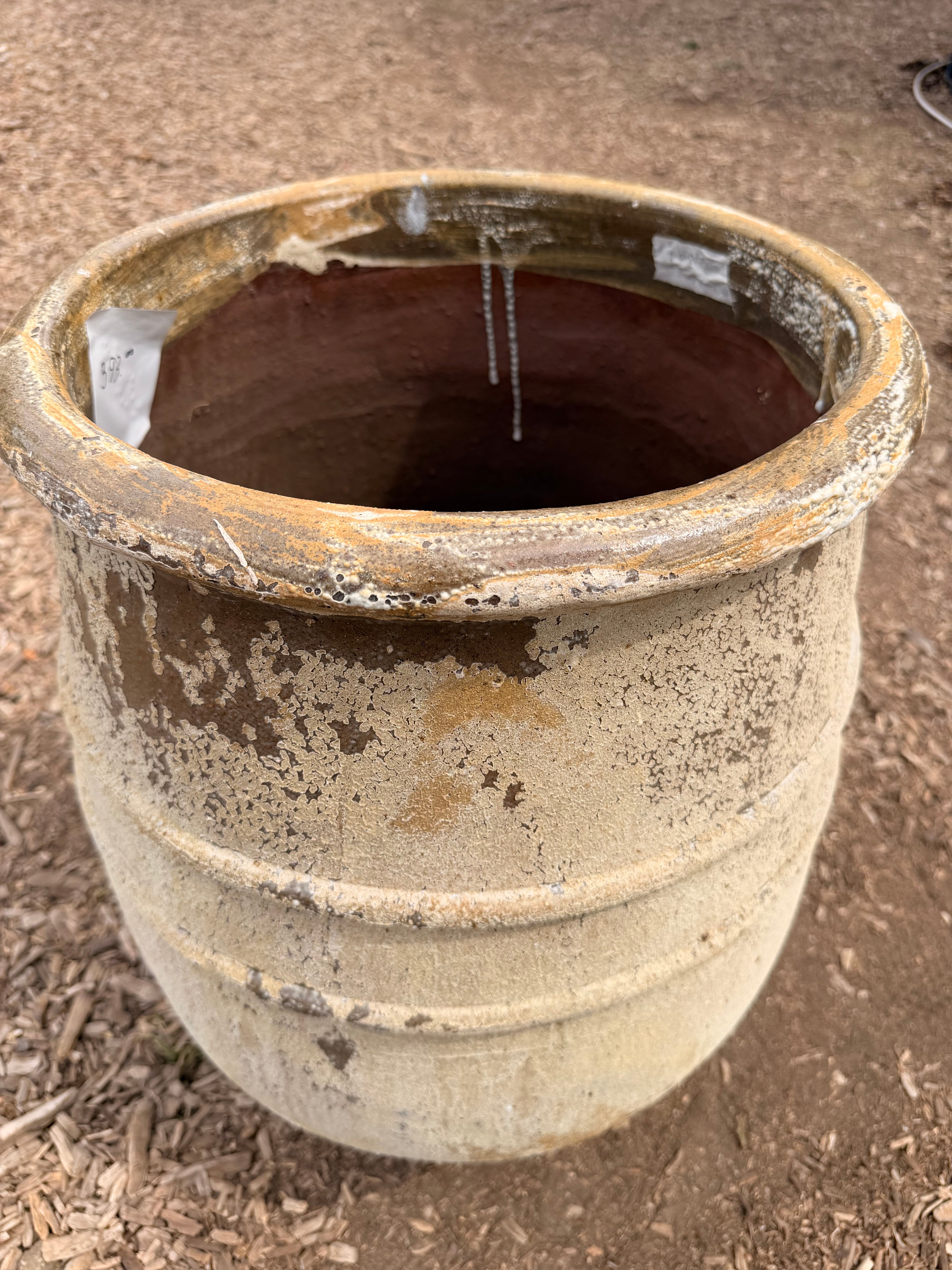 Mediterranean Olive Pot