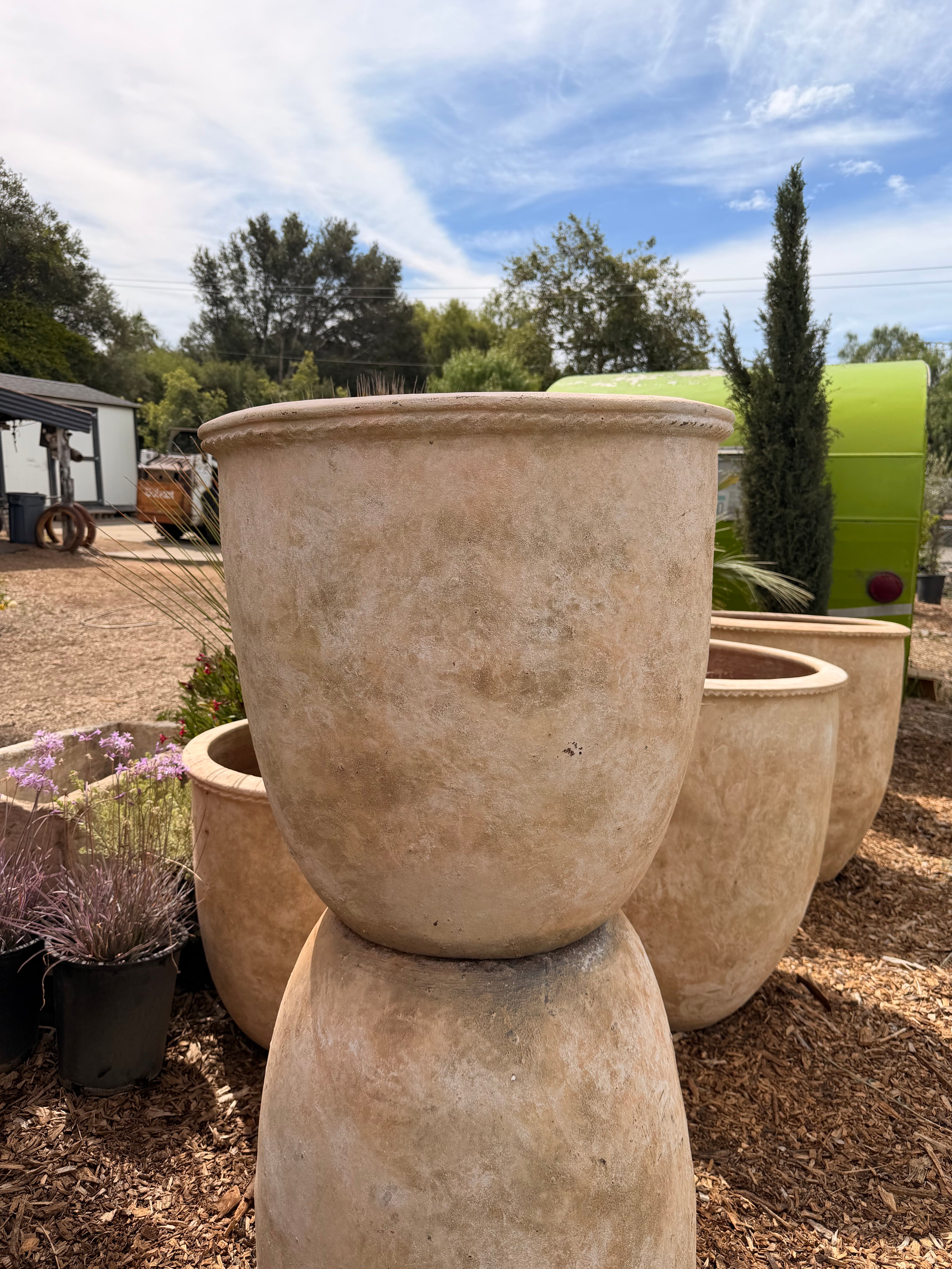 Tall Lettuce Rim Clay Pot