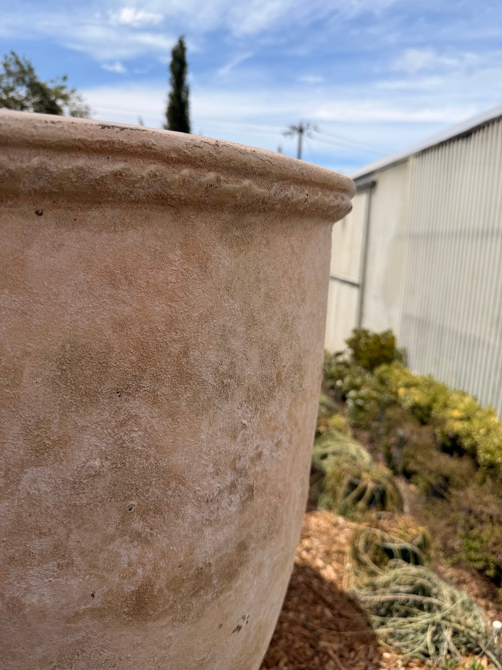 Tall Lettuce Rim Clay Pot