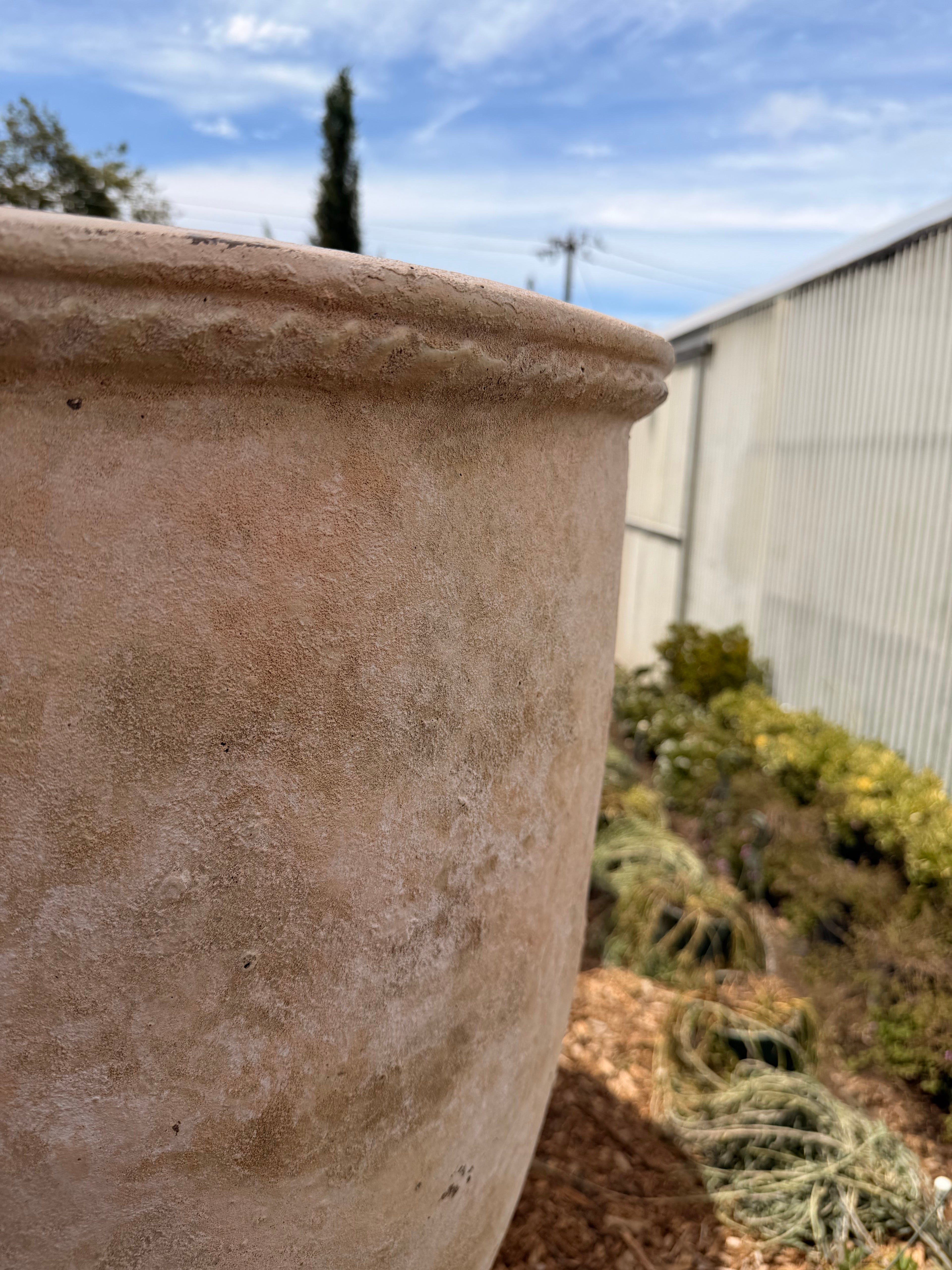 Tall Lettuce Rim Clay Pot