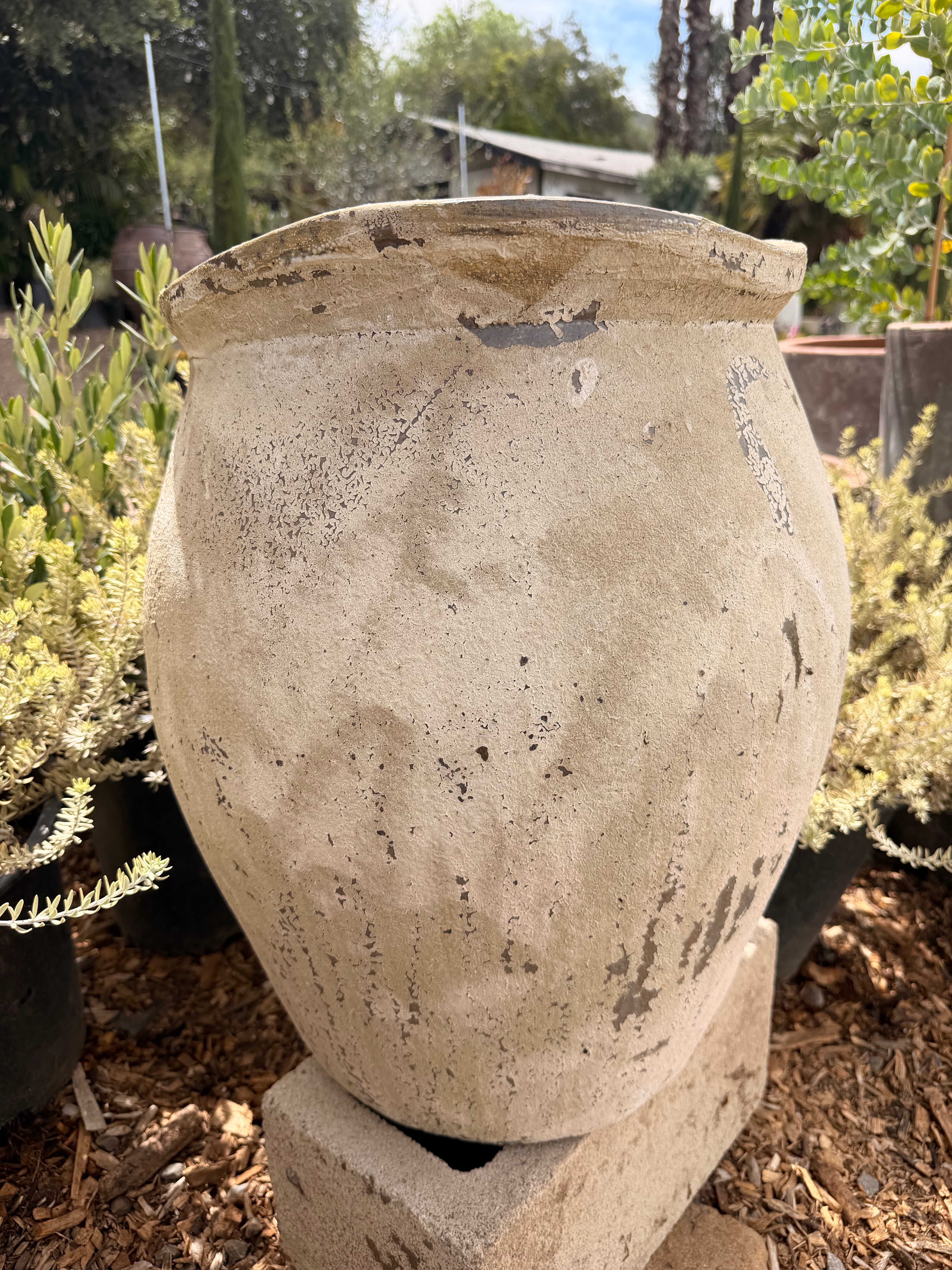 Wavy Rim Jar