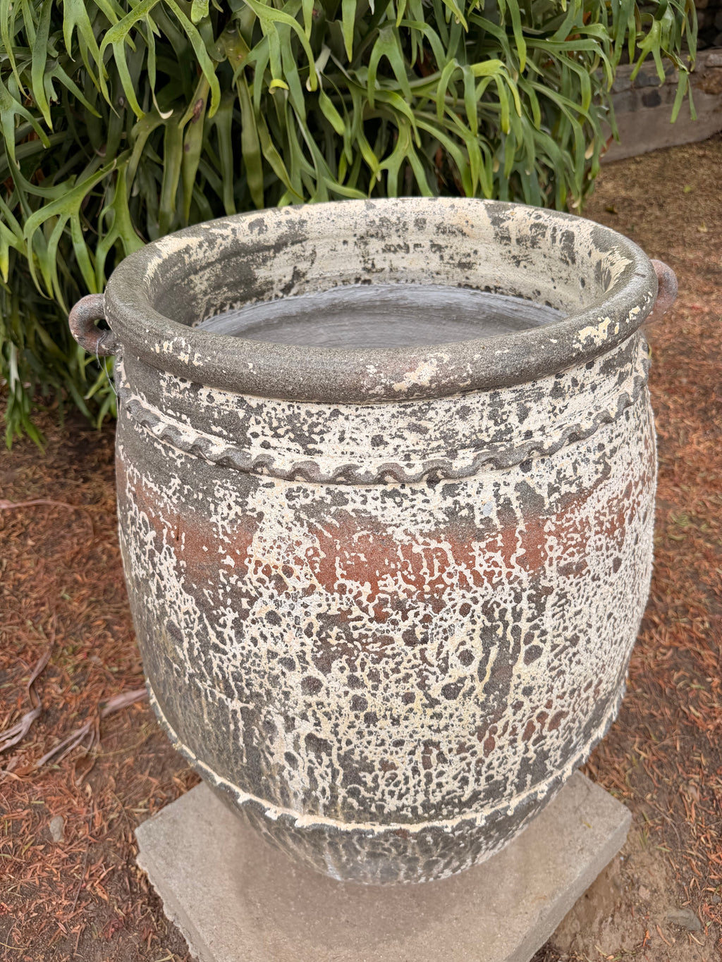 Thai Pot