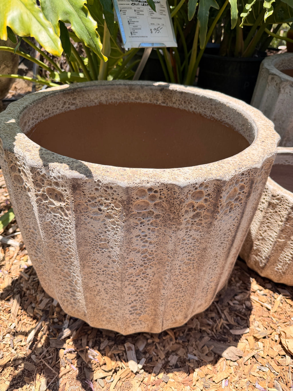 White Volcanic Ribbed Planters
