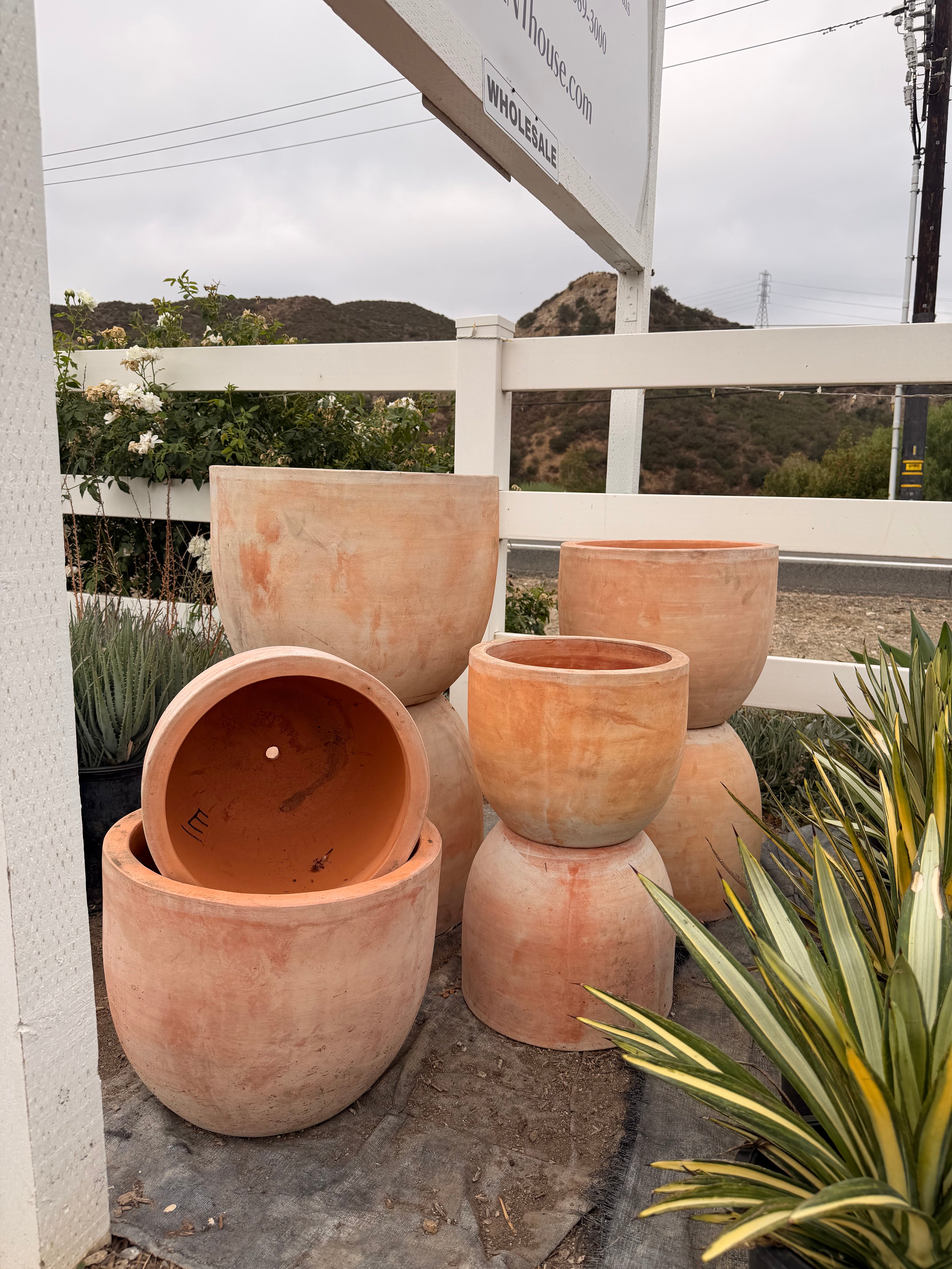 Squatty Terra Cotta Pot