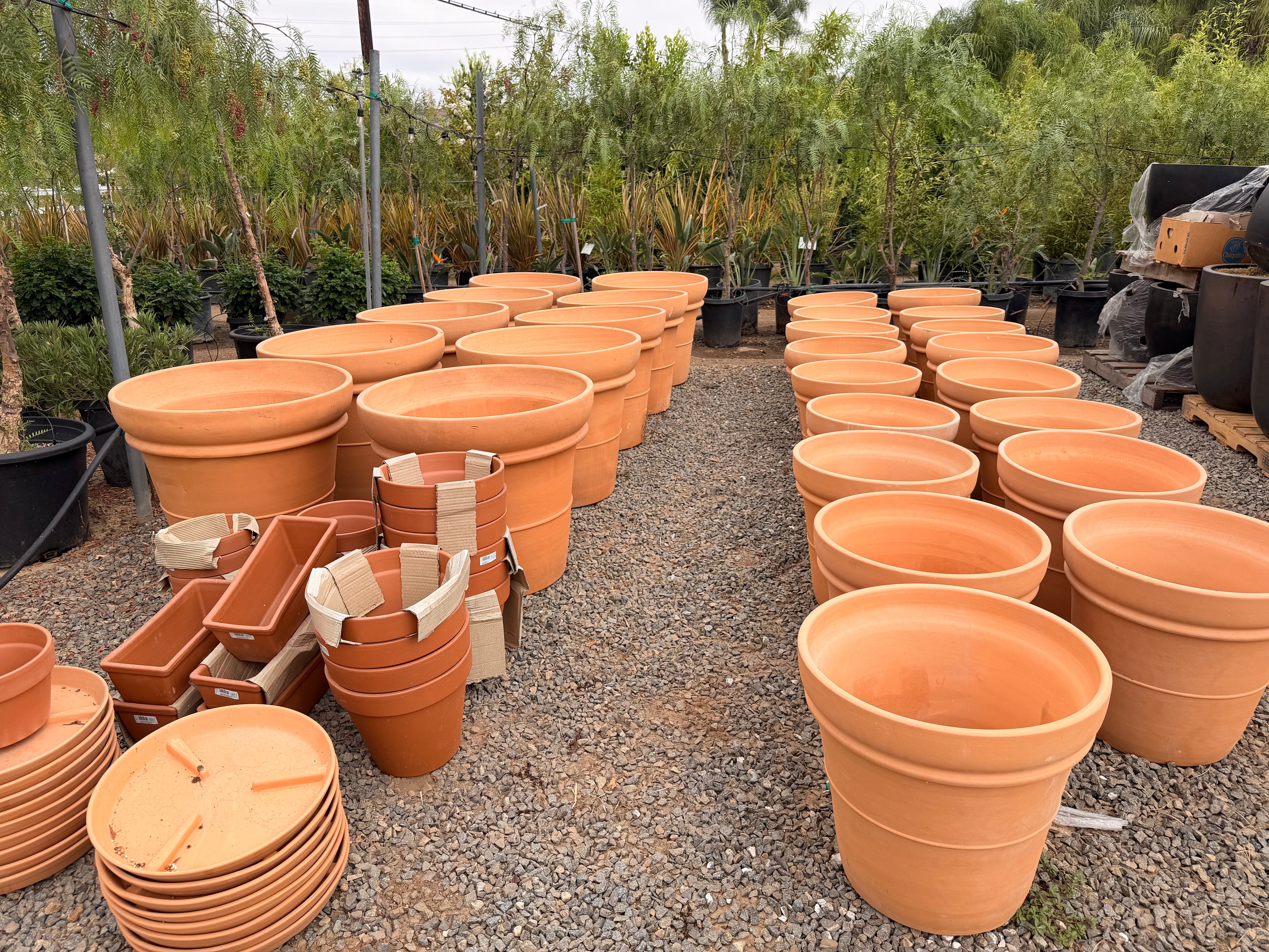 Classic Double Rolled Rim Terracotta Pot