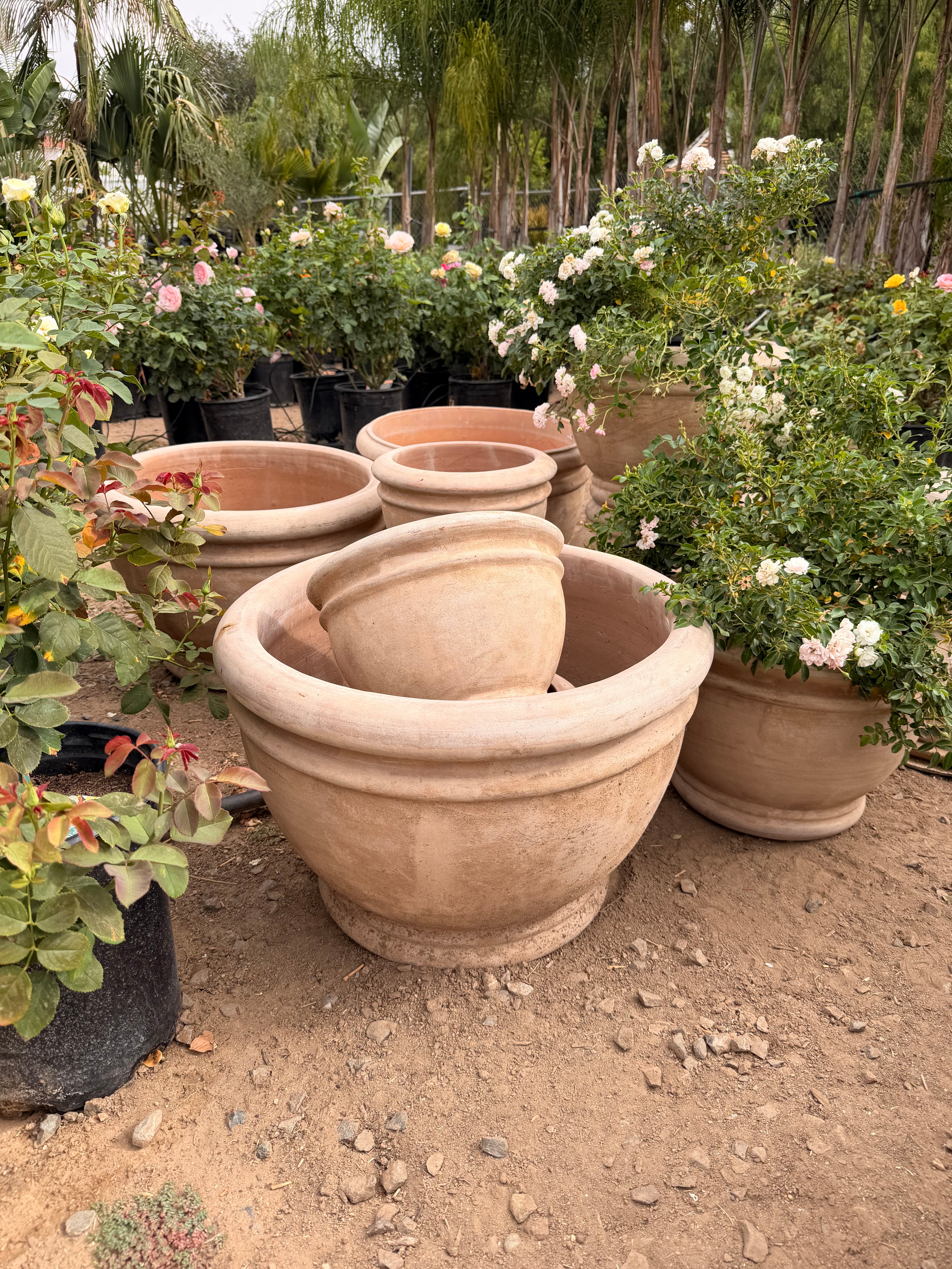 Squatty Classic Rim Grey Pot