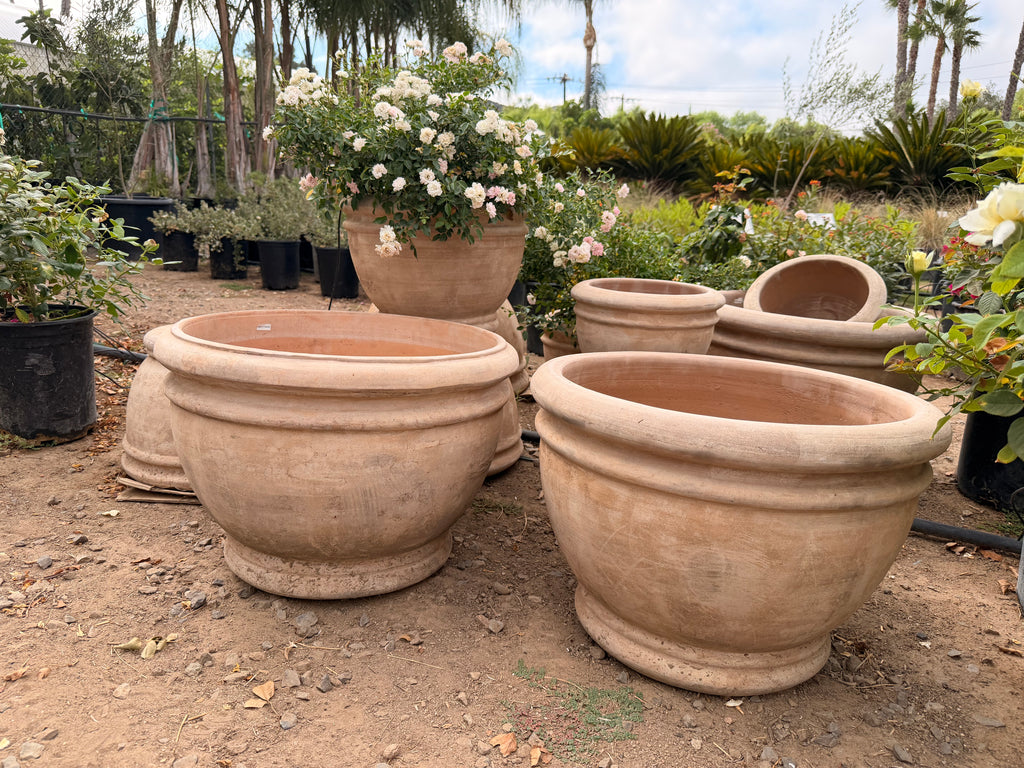 Squatty Classic Rim Grey Pot