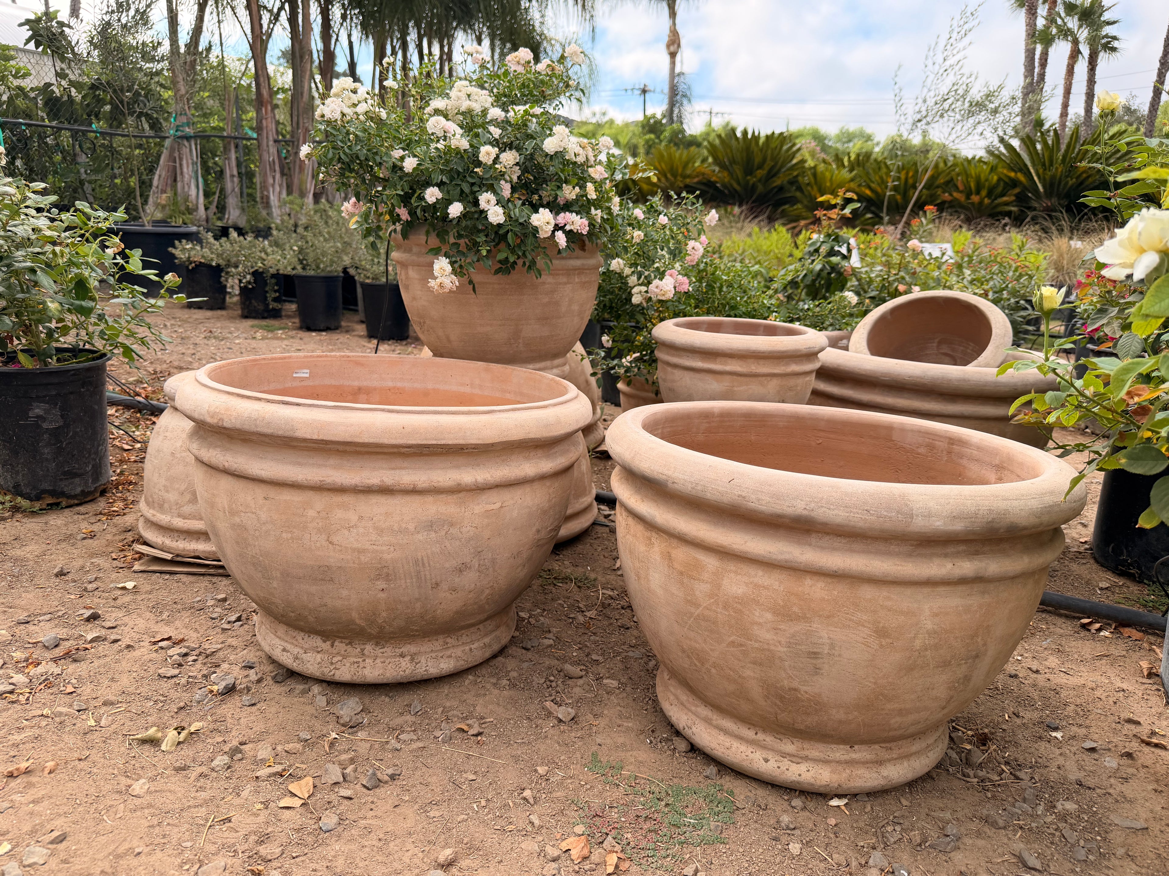 Squatty Classic Rim Grey Pot