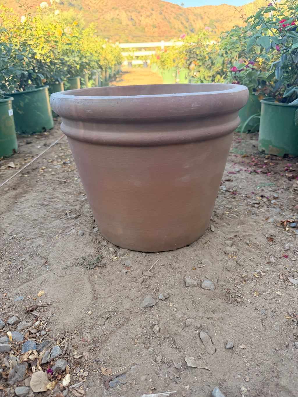 Mocha Rolled Rim Clay Pot