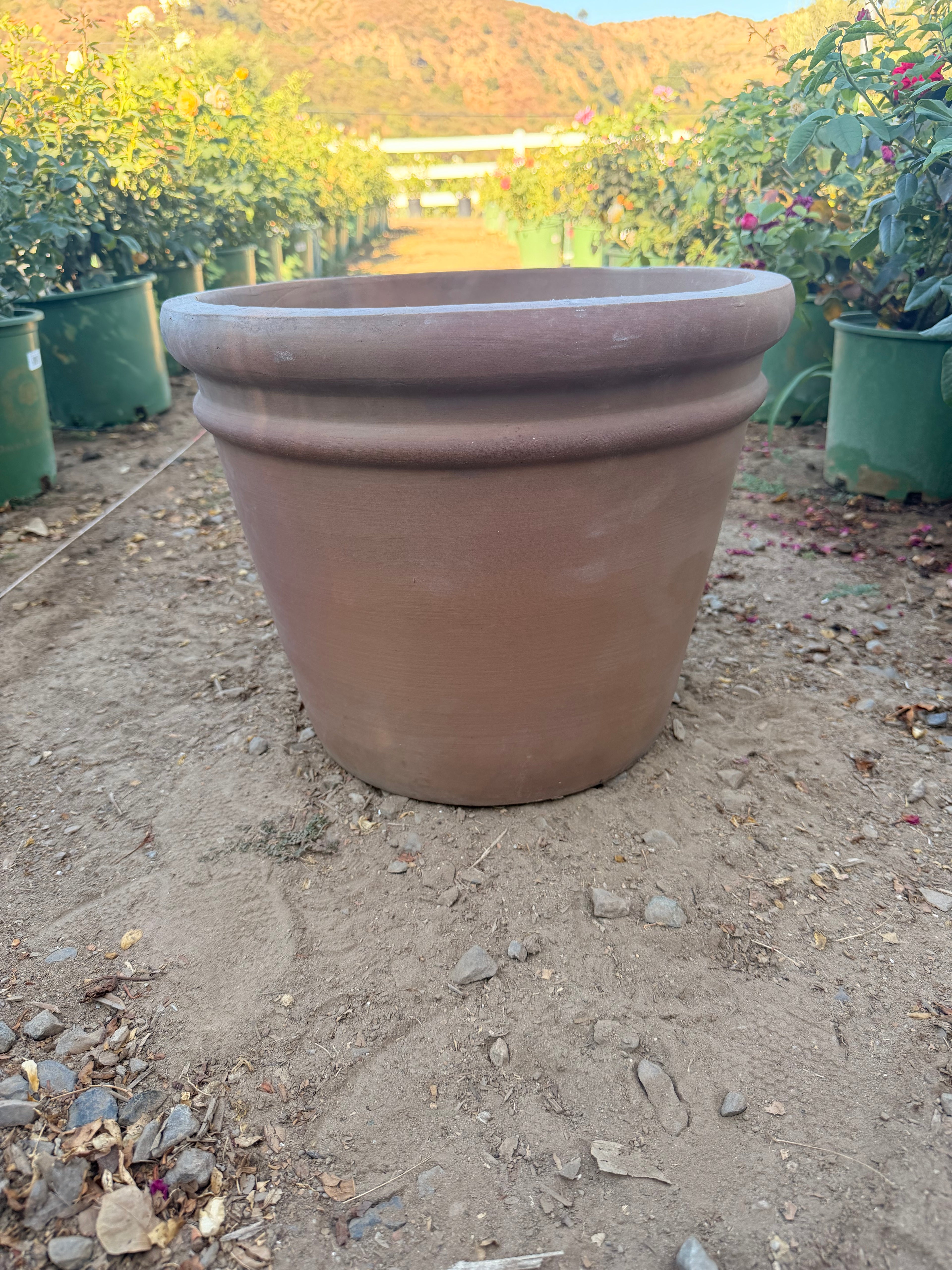 Mocha Rolled Rim Clay Pot