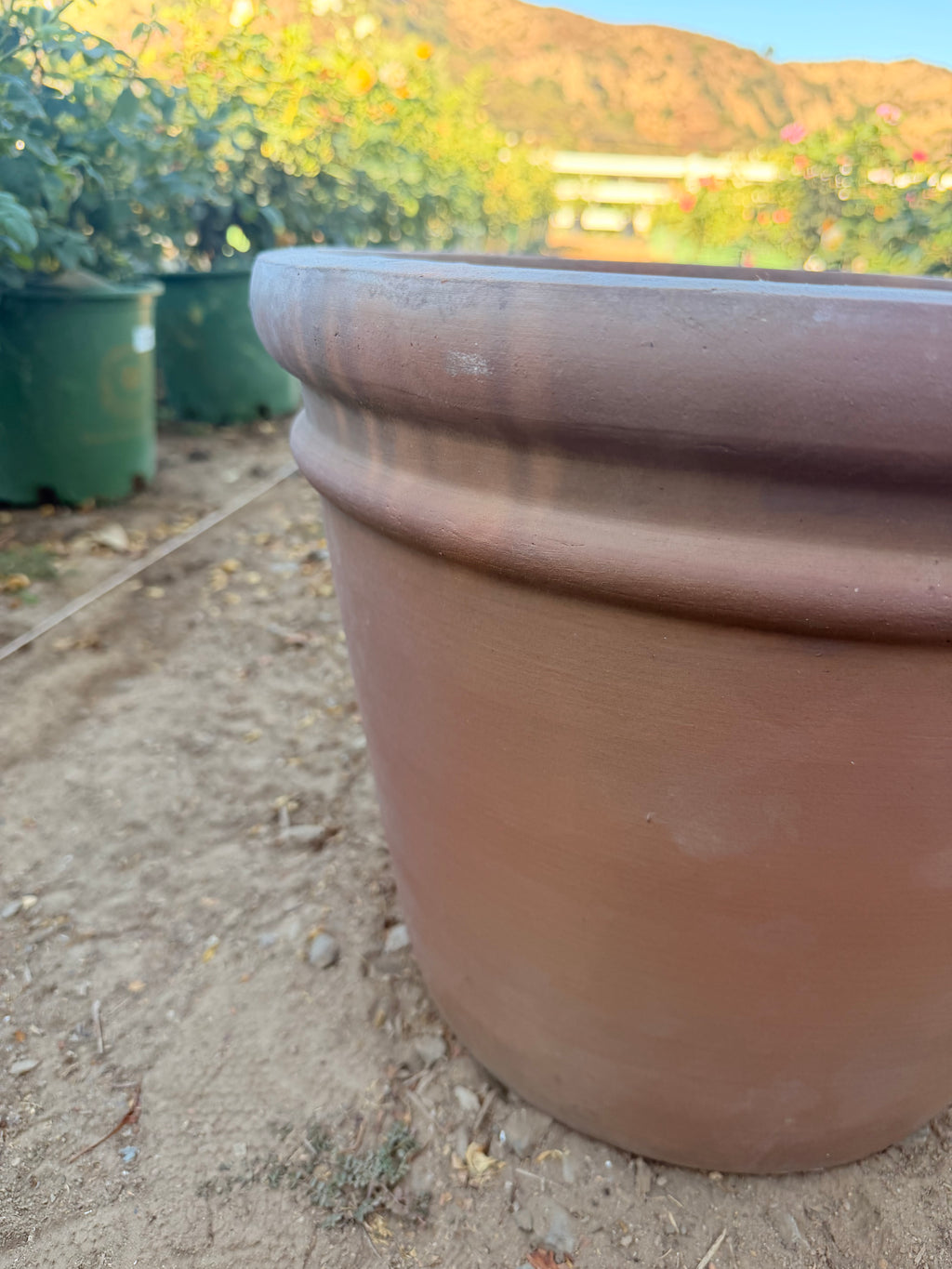 Mocha Rolled Rim Clay Pot