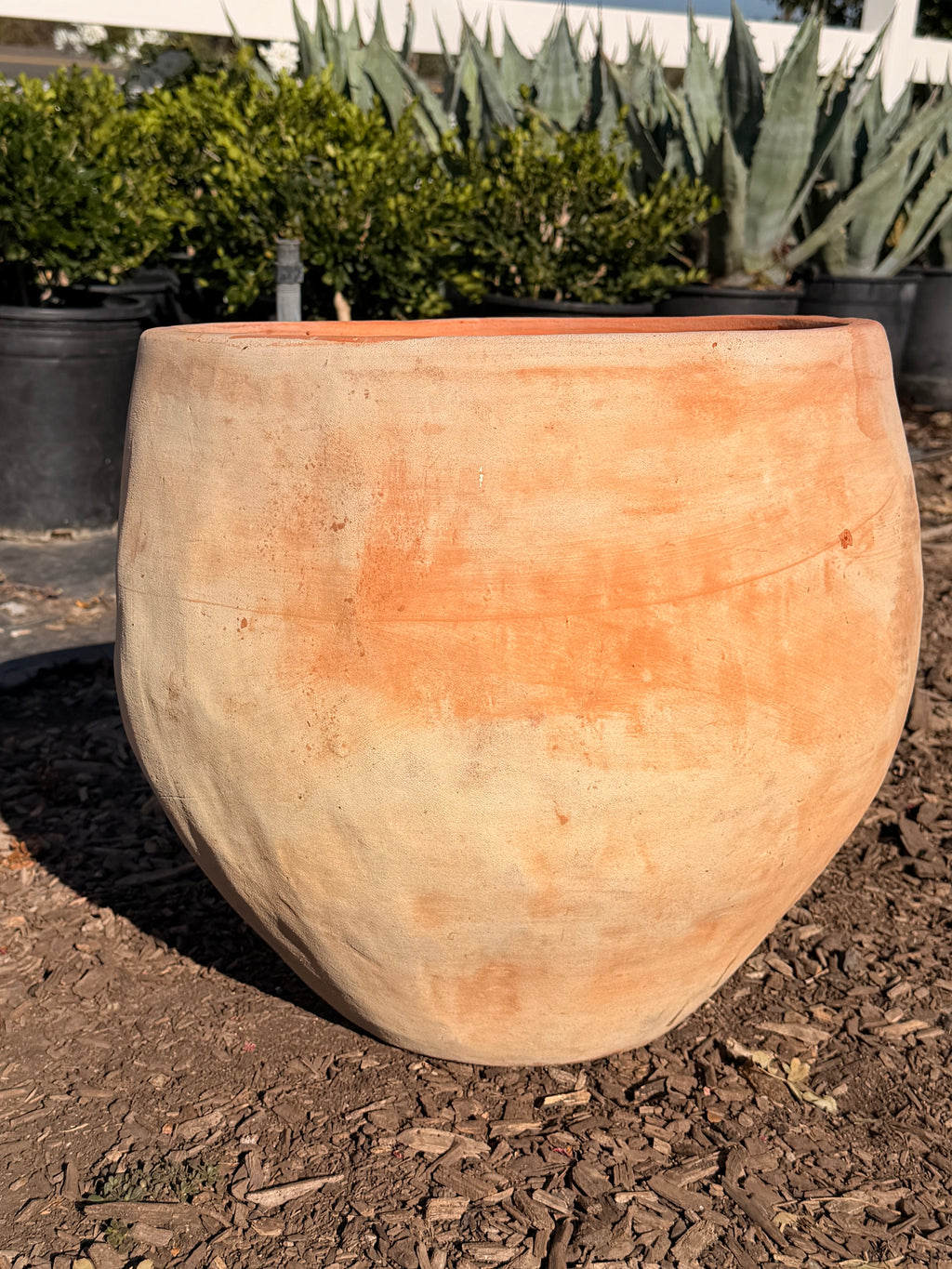 Squatty Dimple Terra Cotta Pot