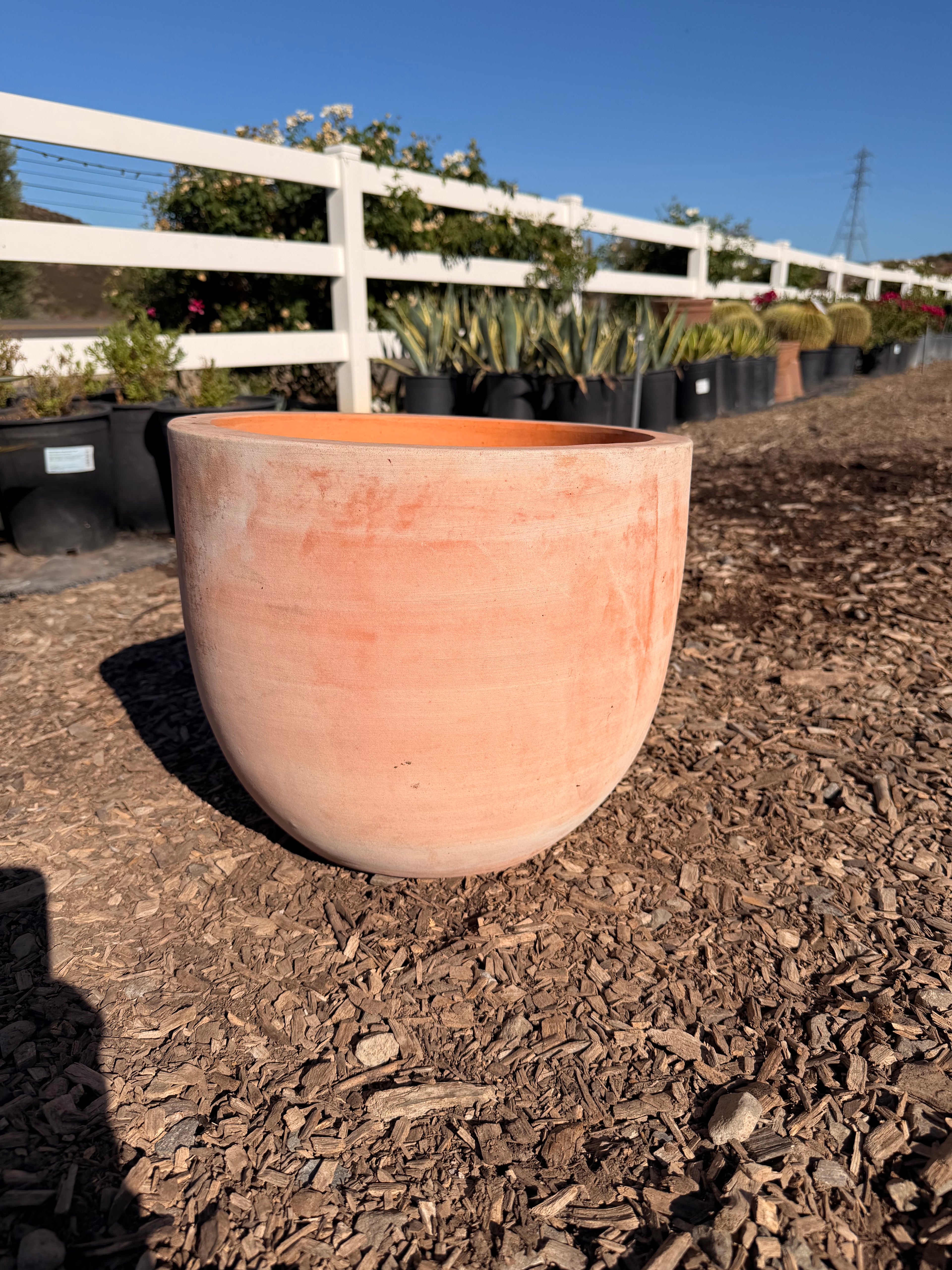 Squatty Terra Cotta Pot