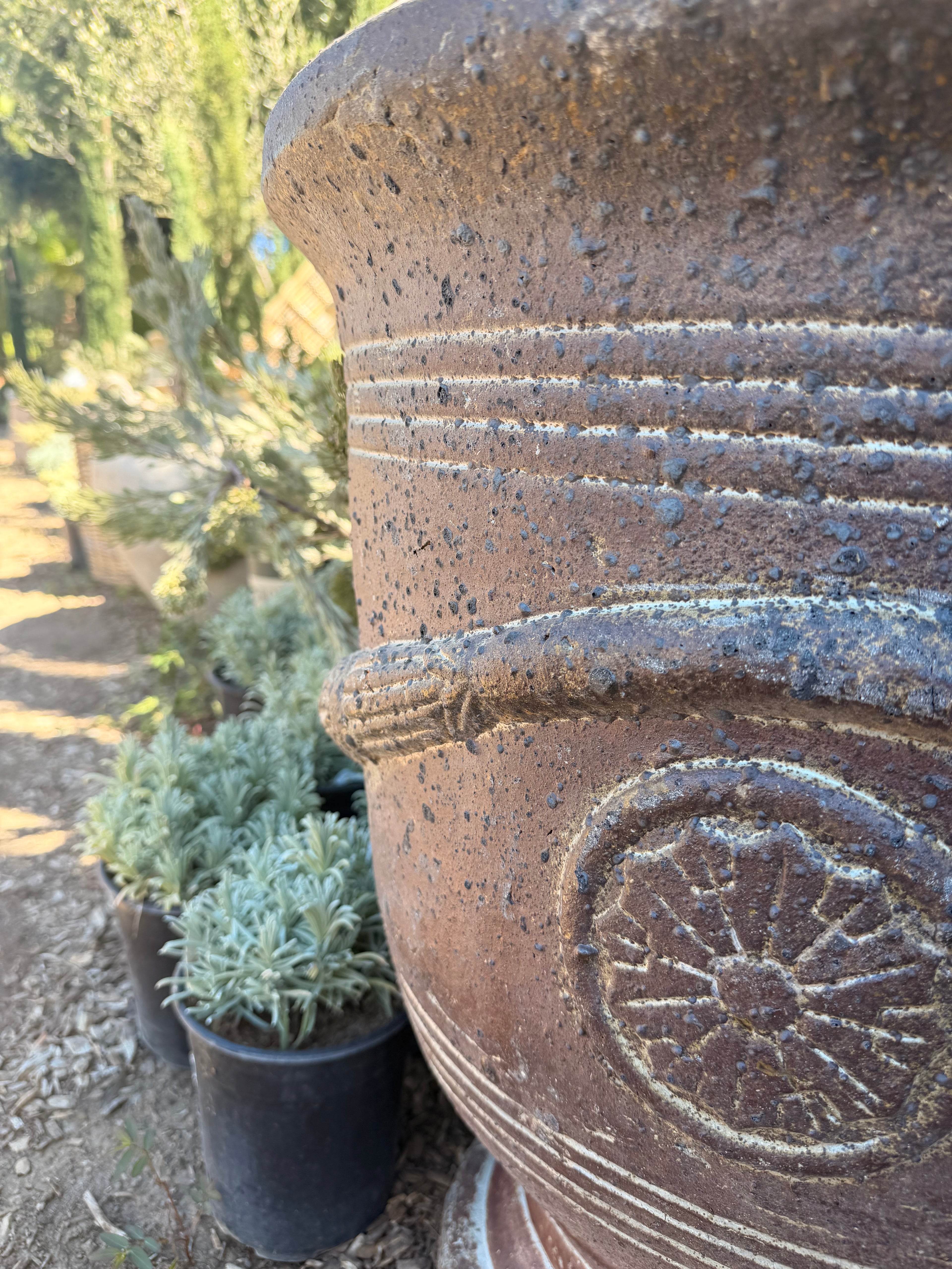 French Urns in Rustic Clay / Antique White