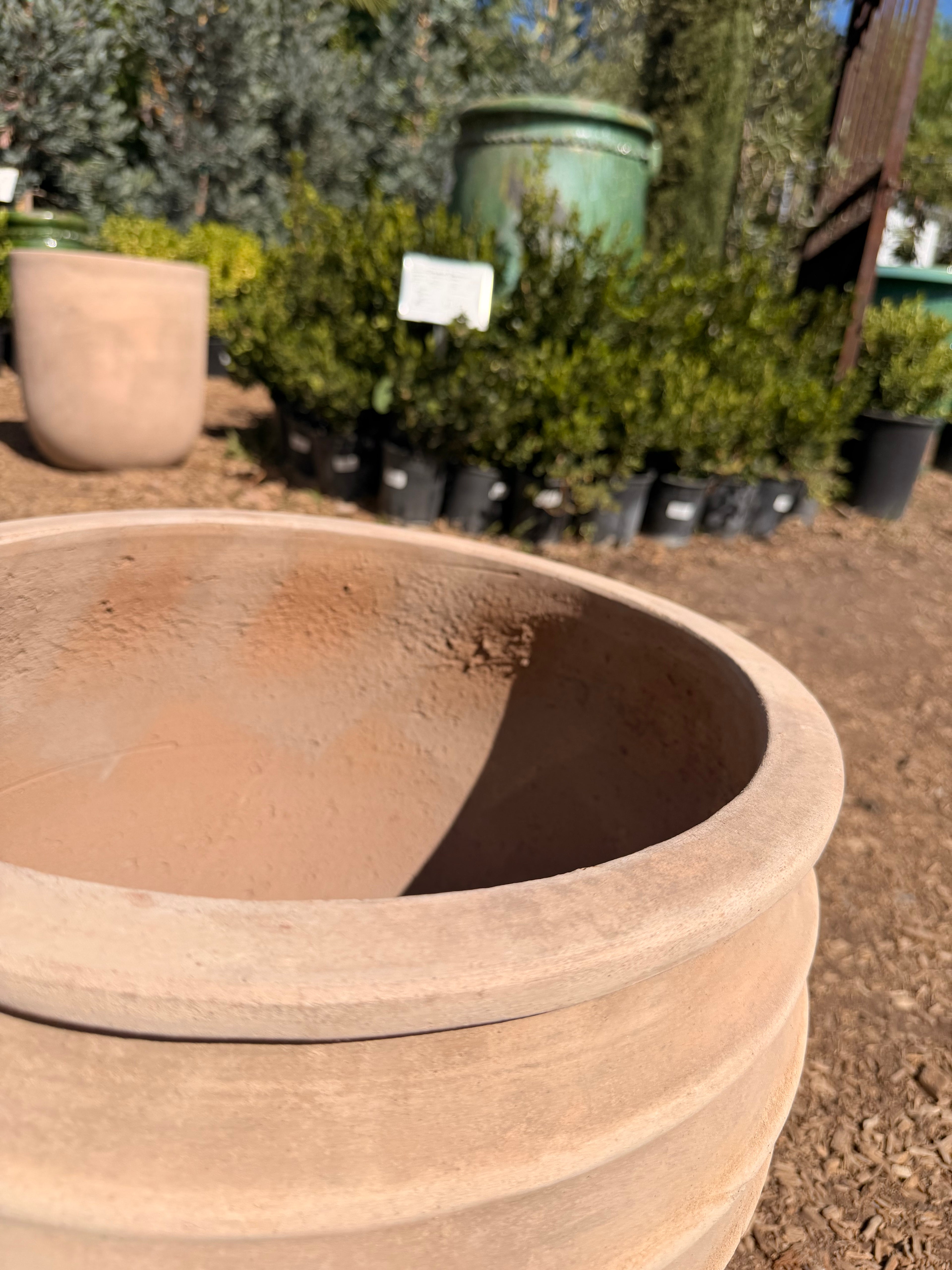 Vari Ring Jar Pot in Natural Clay