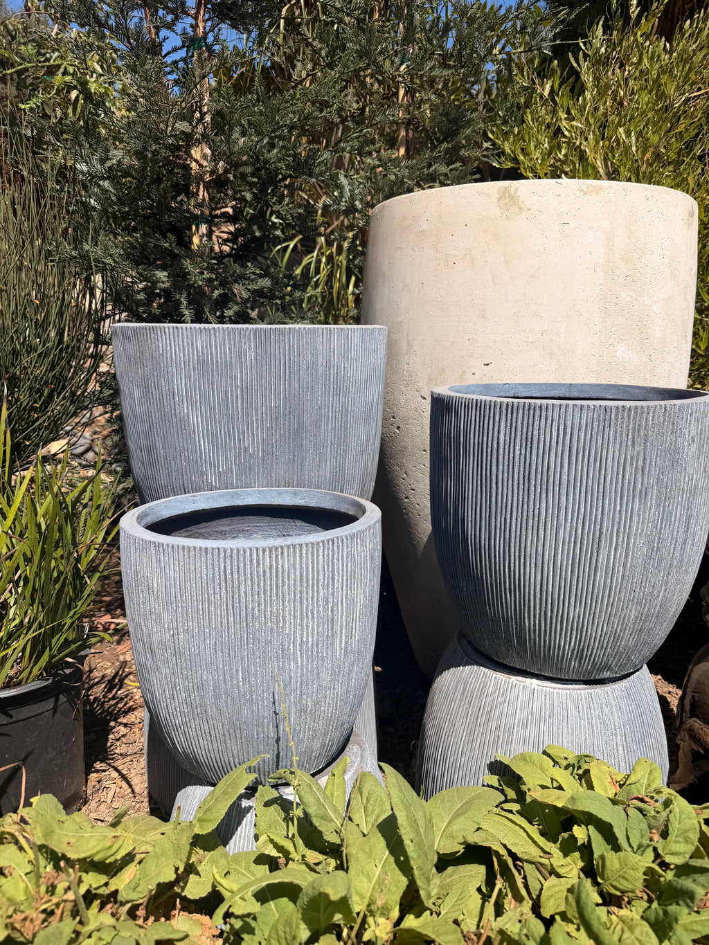 Blue Ribbed Cone Planter