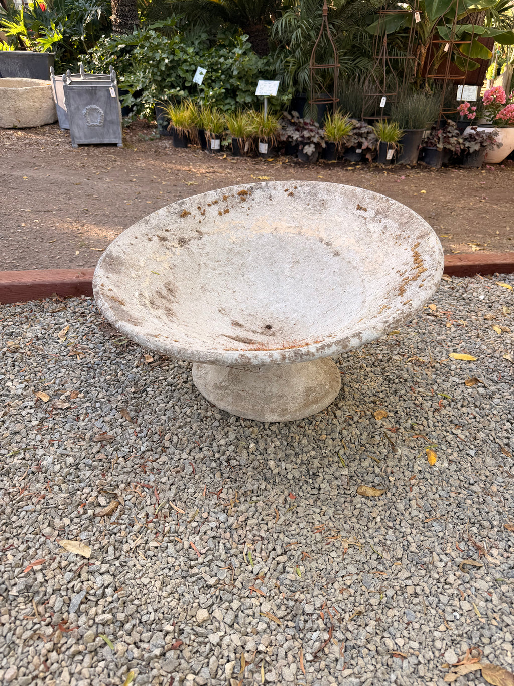 Willy Guhl Planter - Soucoupe
