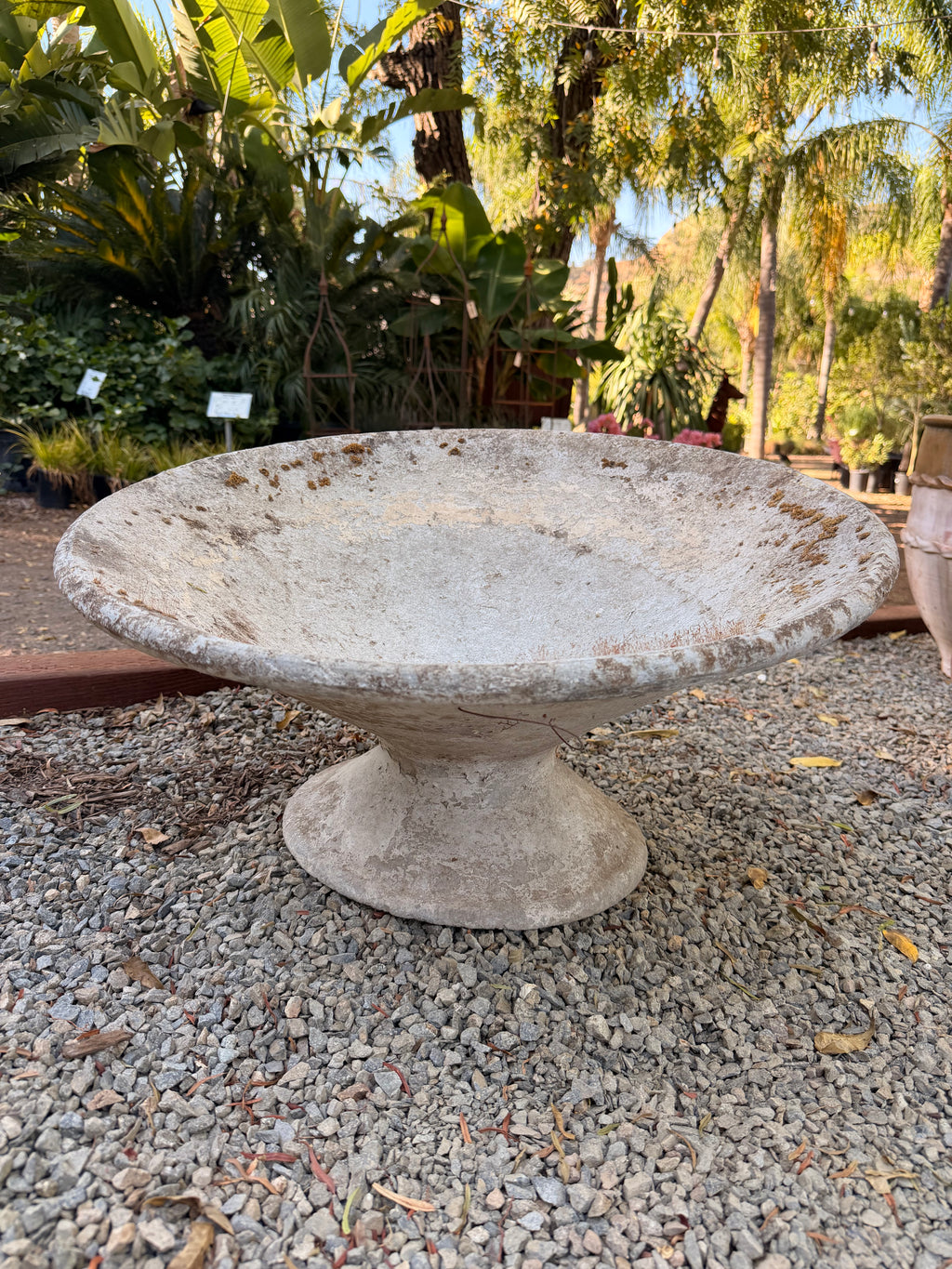 Willy Guhl Planter - Soucoupe