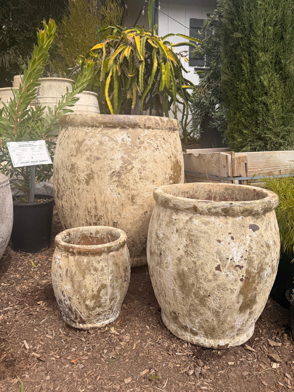 G&M Italian Pot