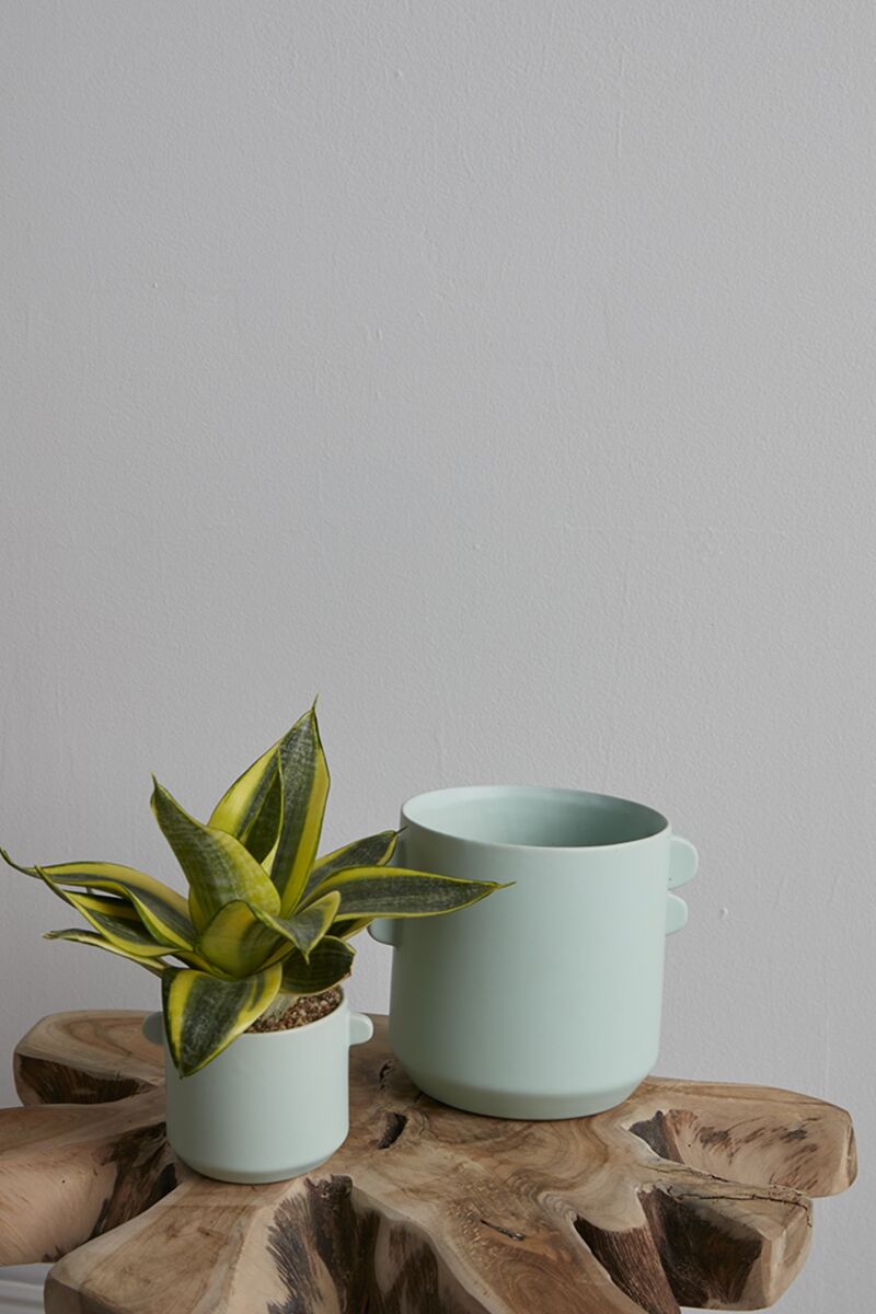 Jamye Ceramic Pot (Large)